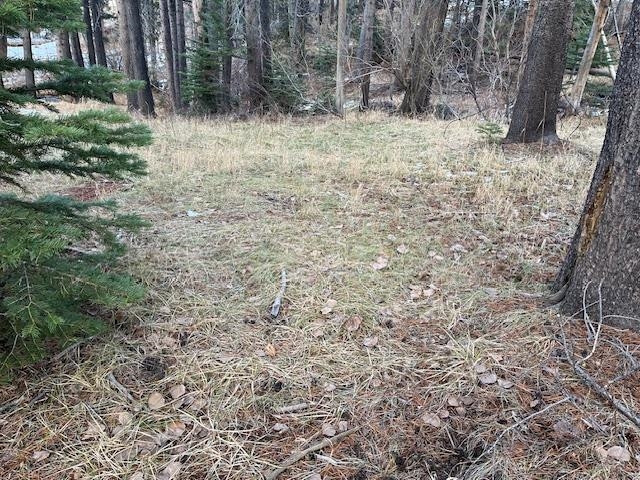 799 Minaret Road Unit: 15-16