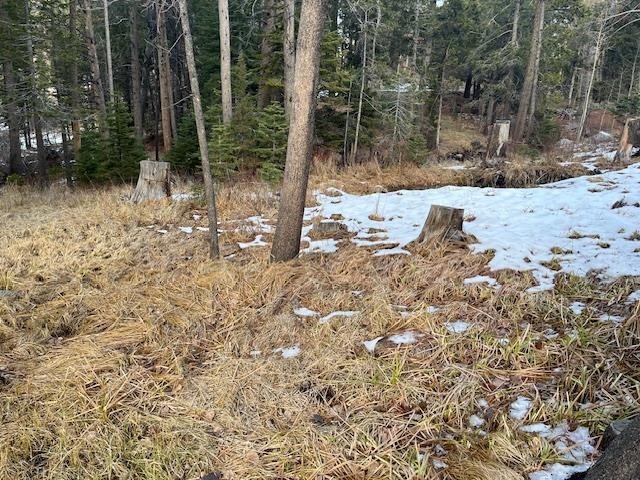 799 Minaret Road Unit: 15-16