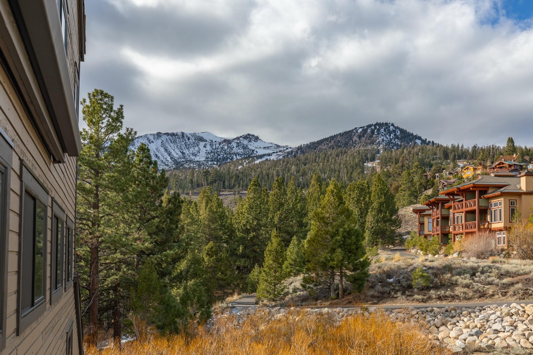 865 Majestic Pines #125 Drive Unit: 125