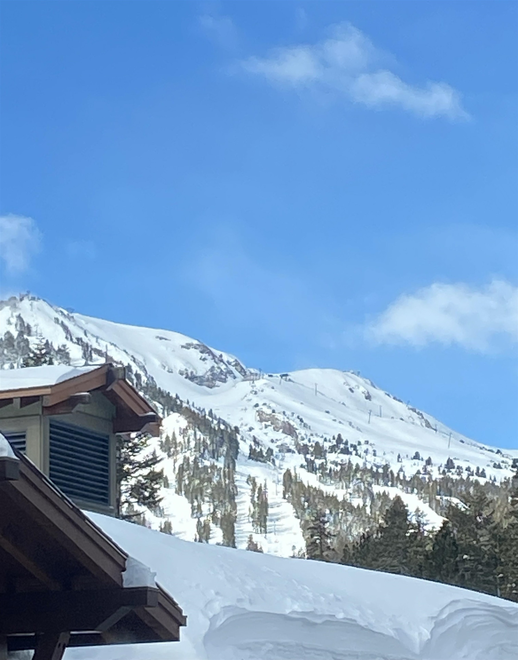 100 Canyon Blvd #3414