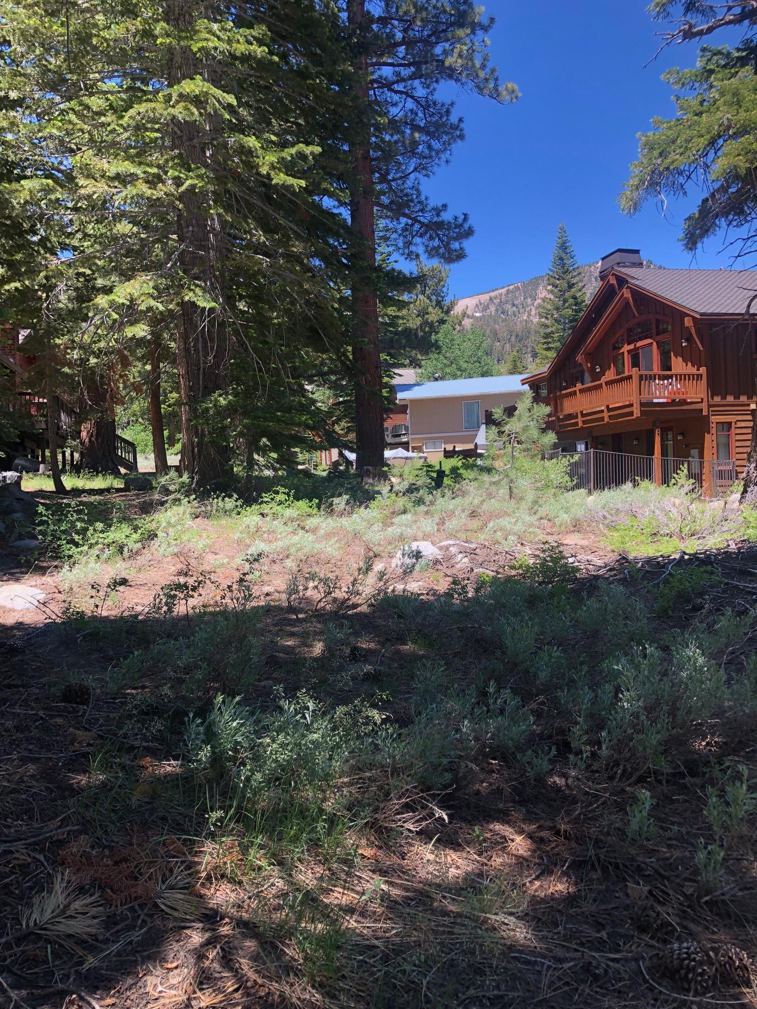 136 Red Fir Road