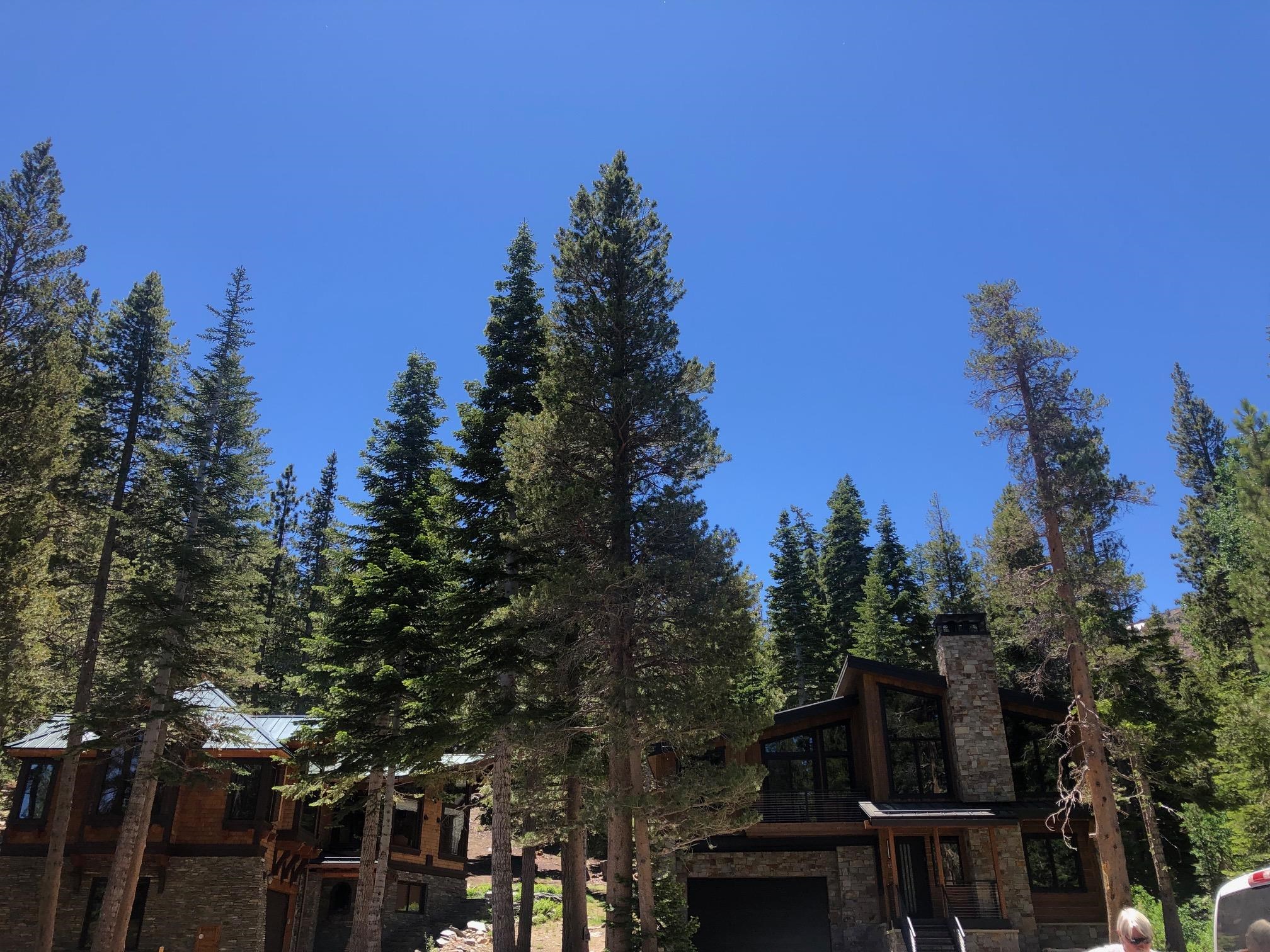136 Red Fir Road