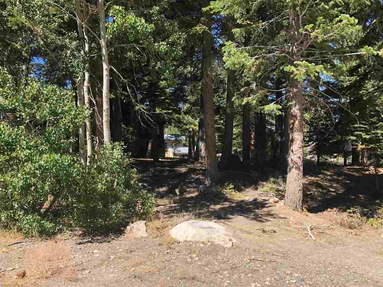 136 Red Fir Road