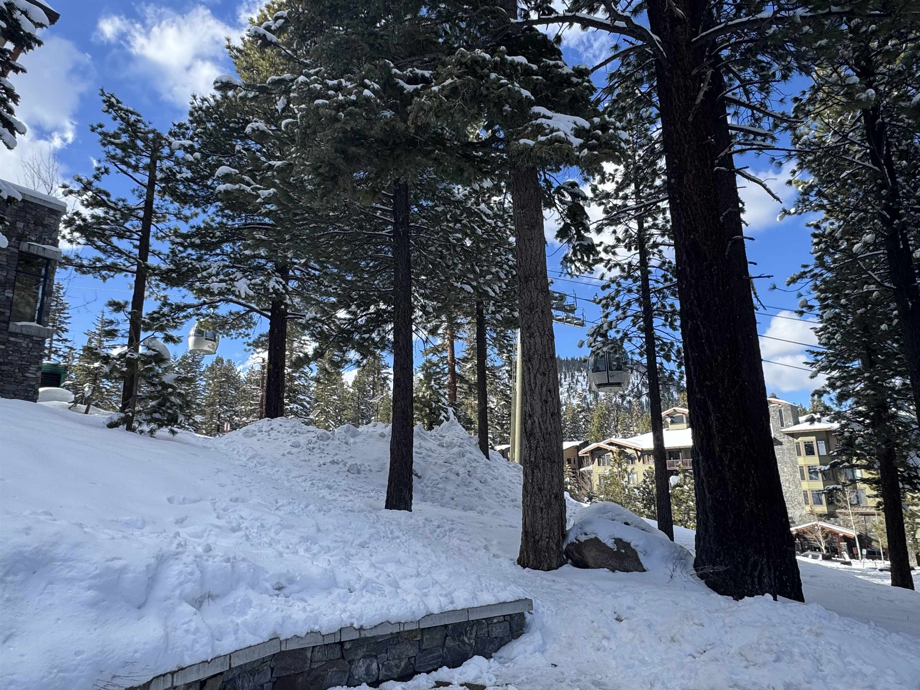 50 HIllside Drive Unit: 242