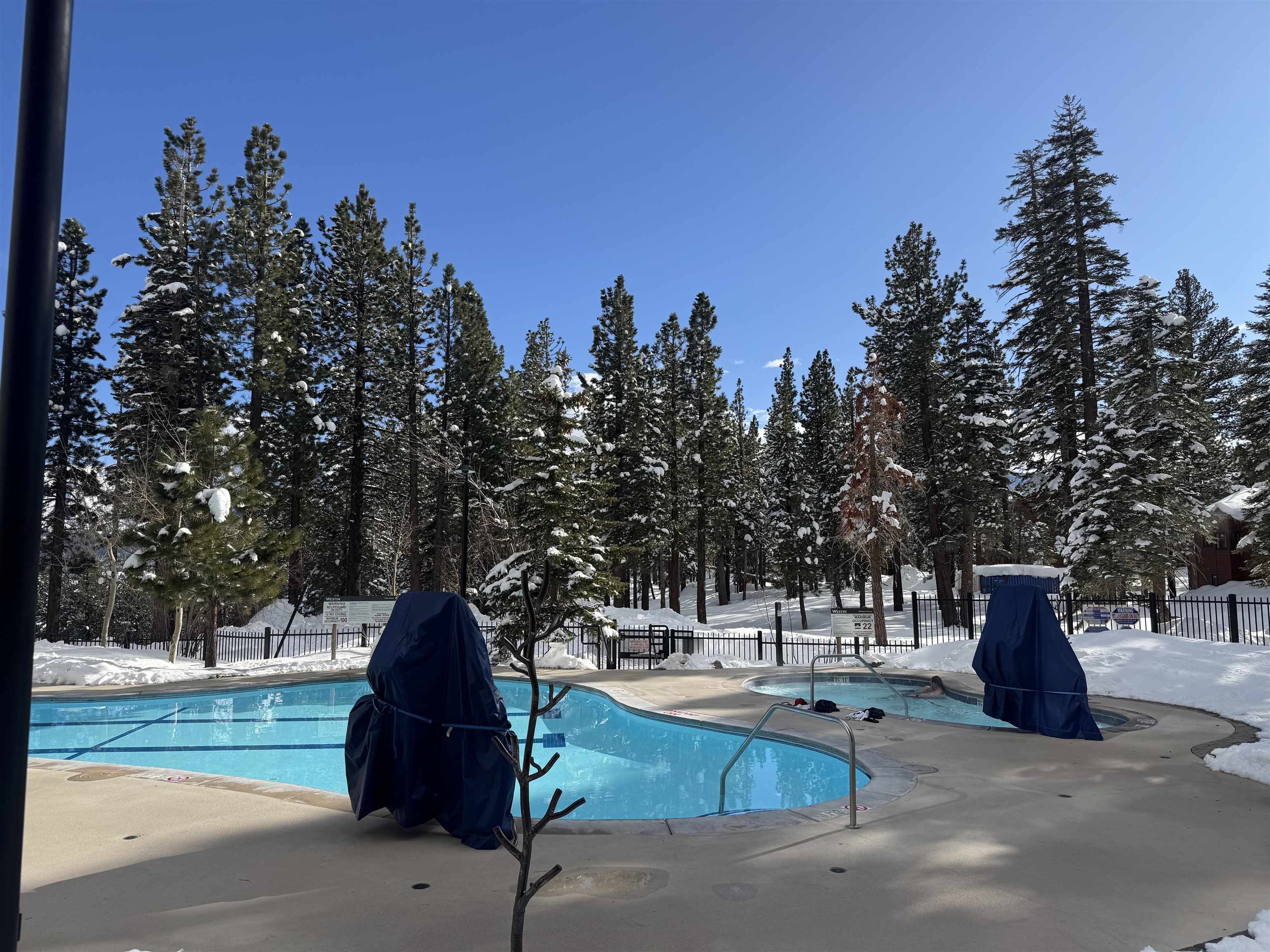 50 HIllside Drive Unit: 242