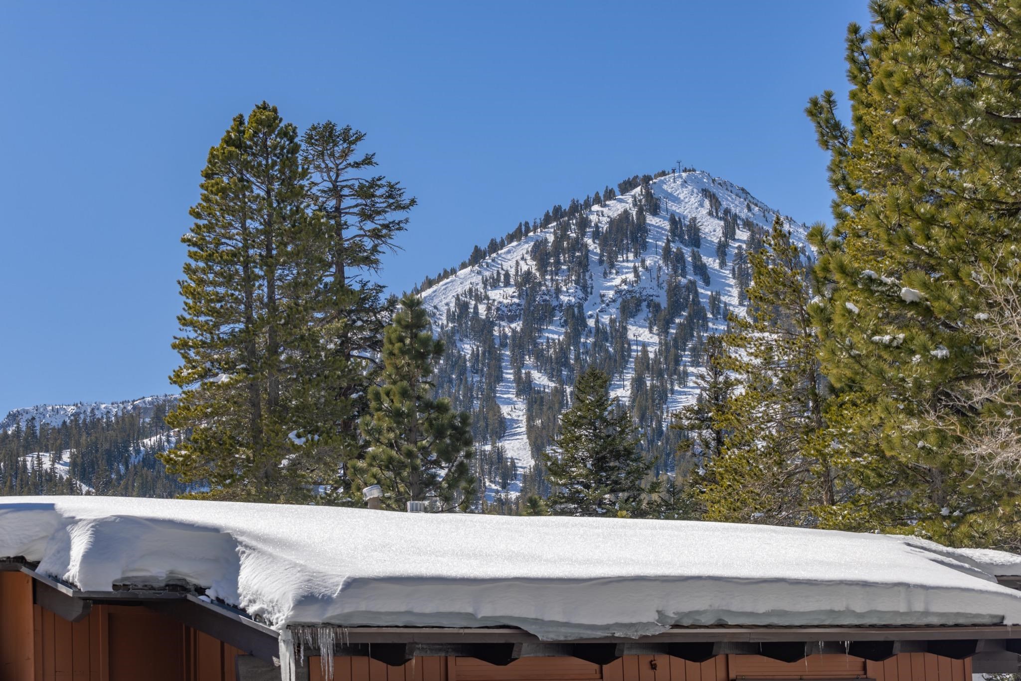 808 Canyon Boulevard Unit: 138