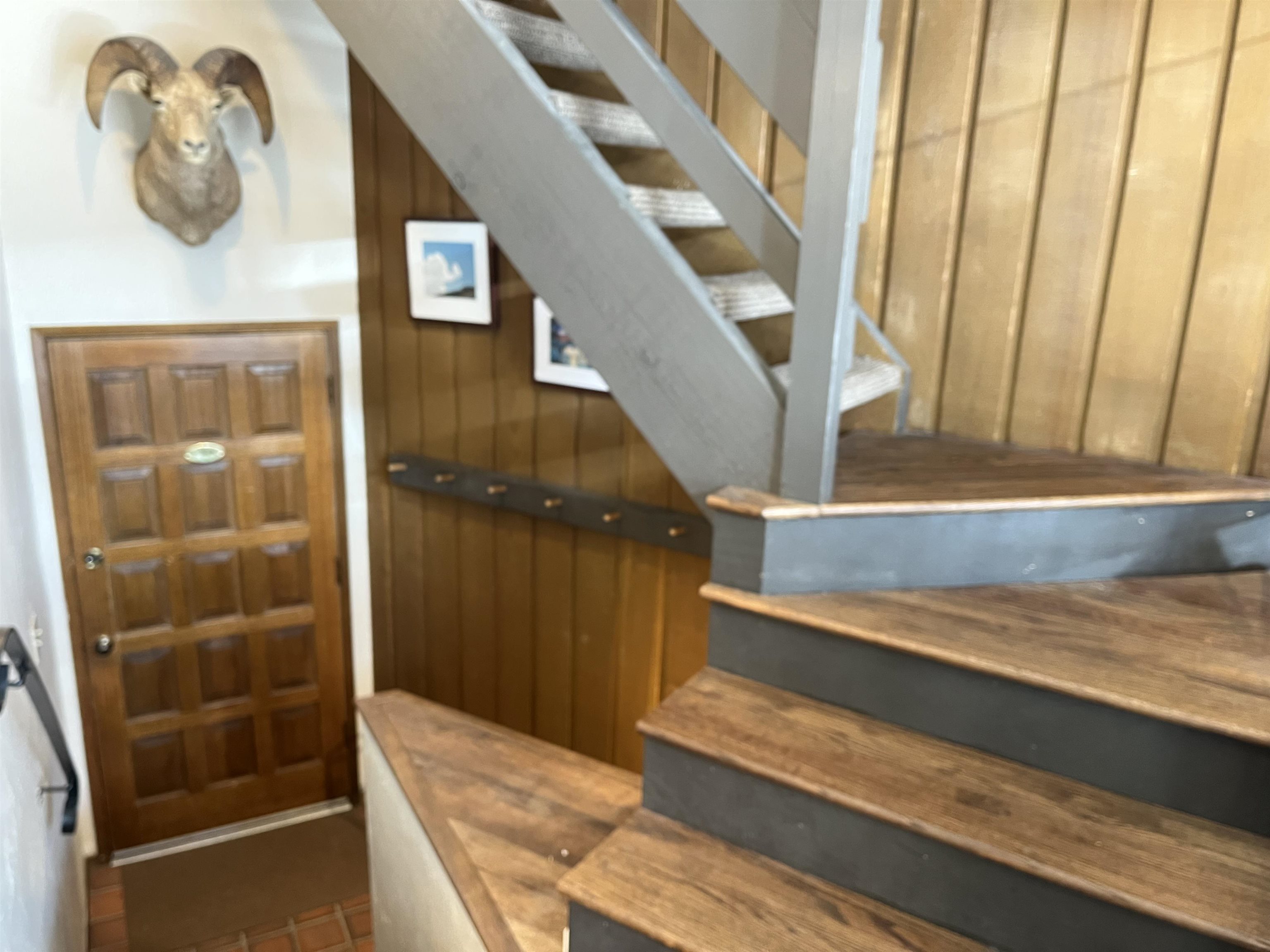 286 Old Mammoth Road Unit: 7