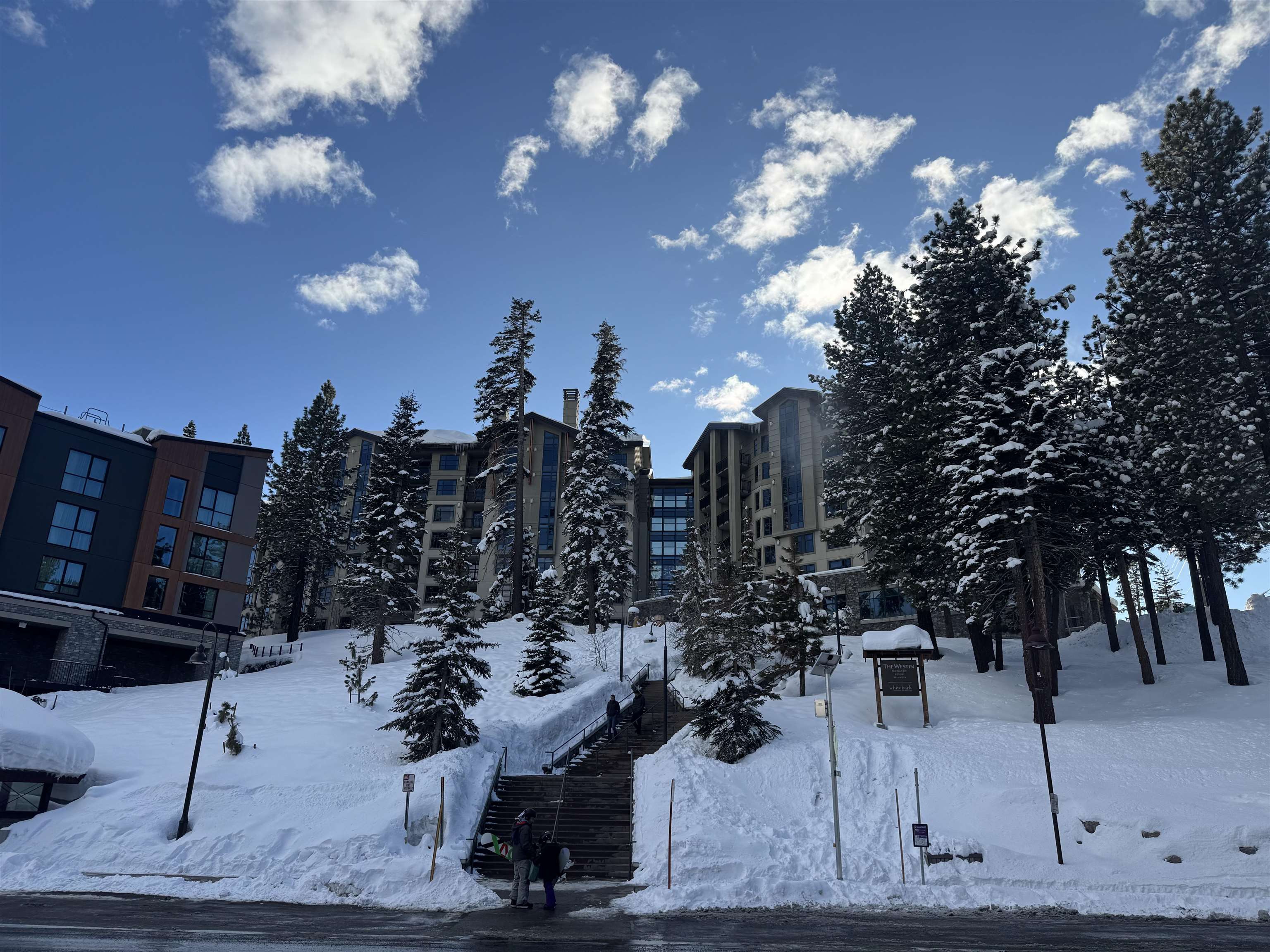 50 Hillside Drive Unit: 304