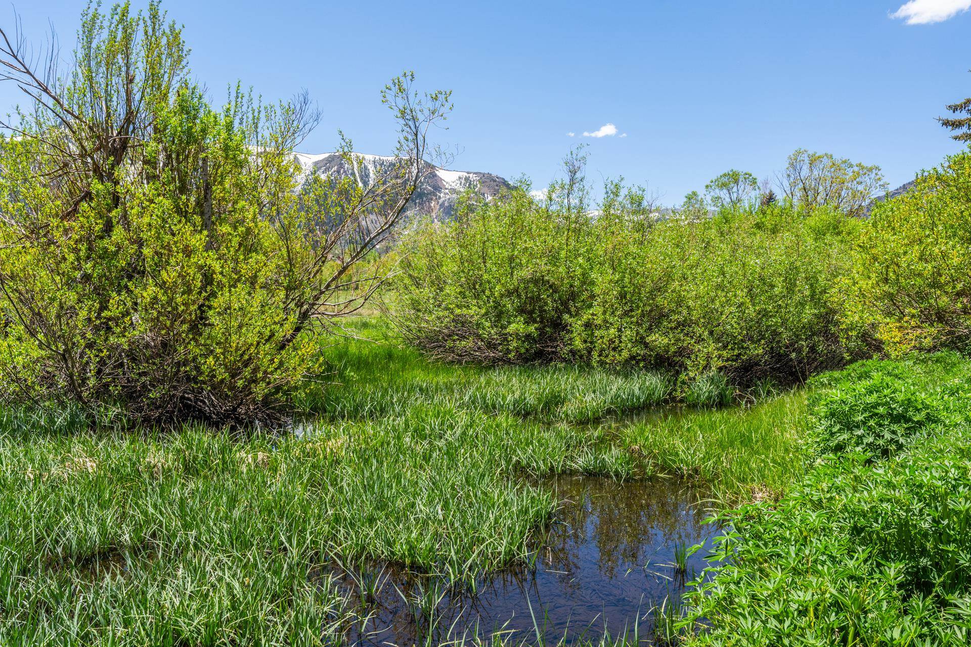 57 Goldhill Unit: 57