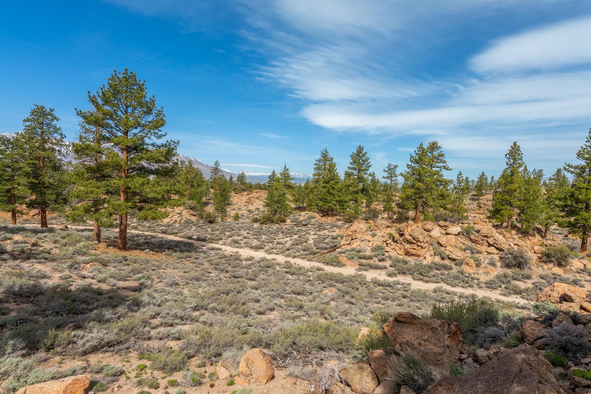 430 Dry Trail