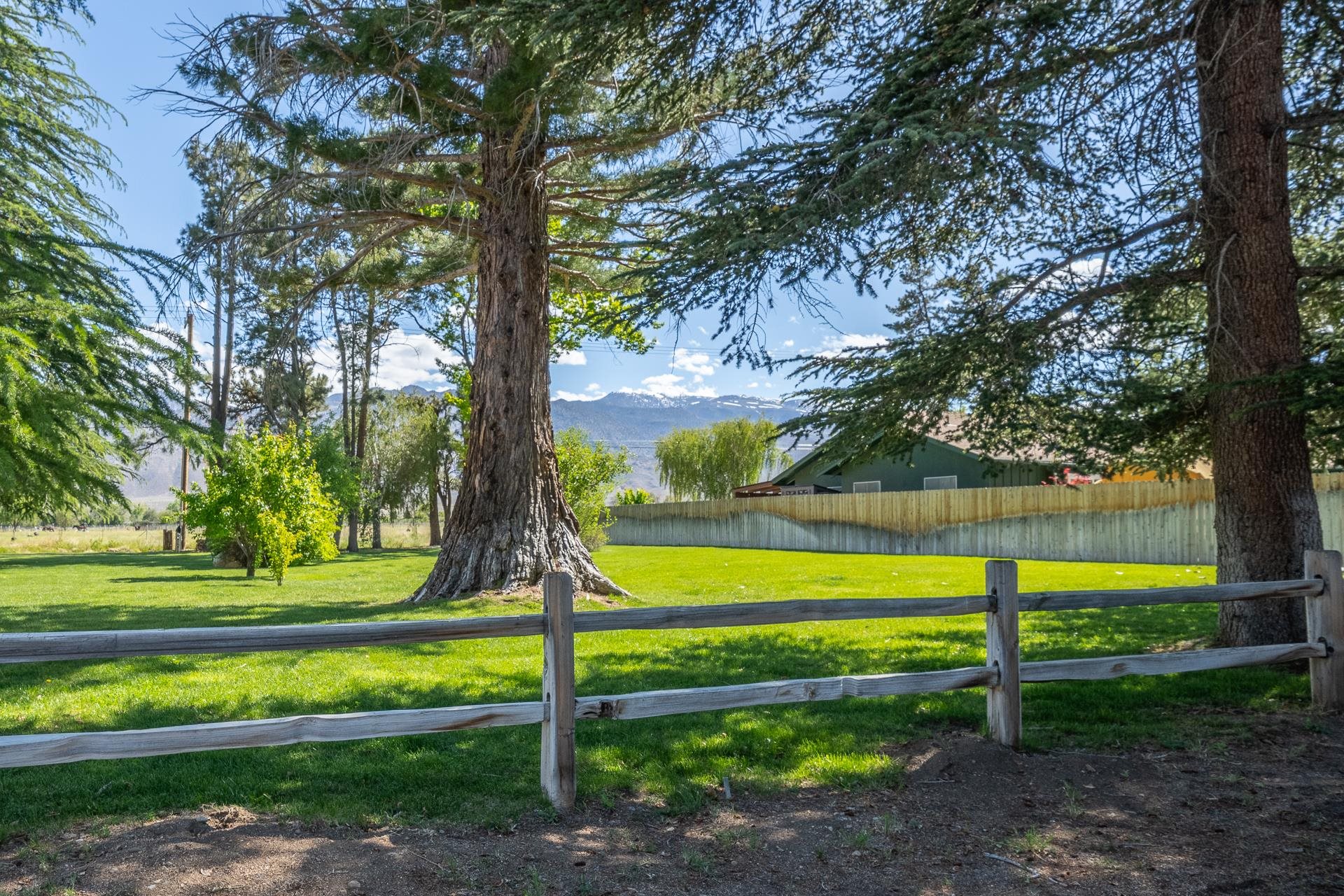 3100 Indian Creek Drive