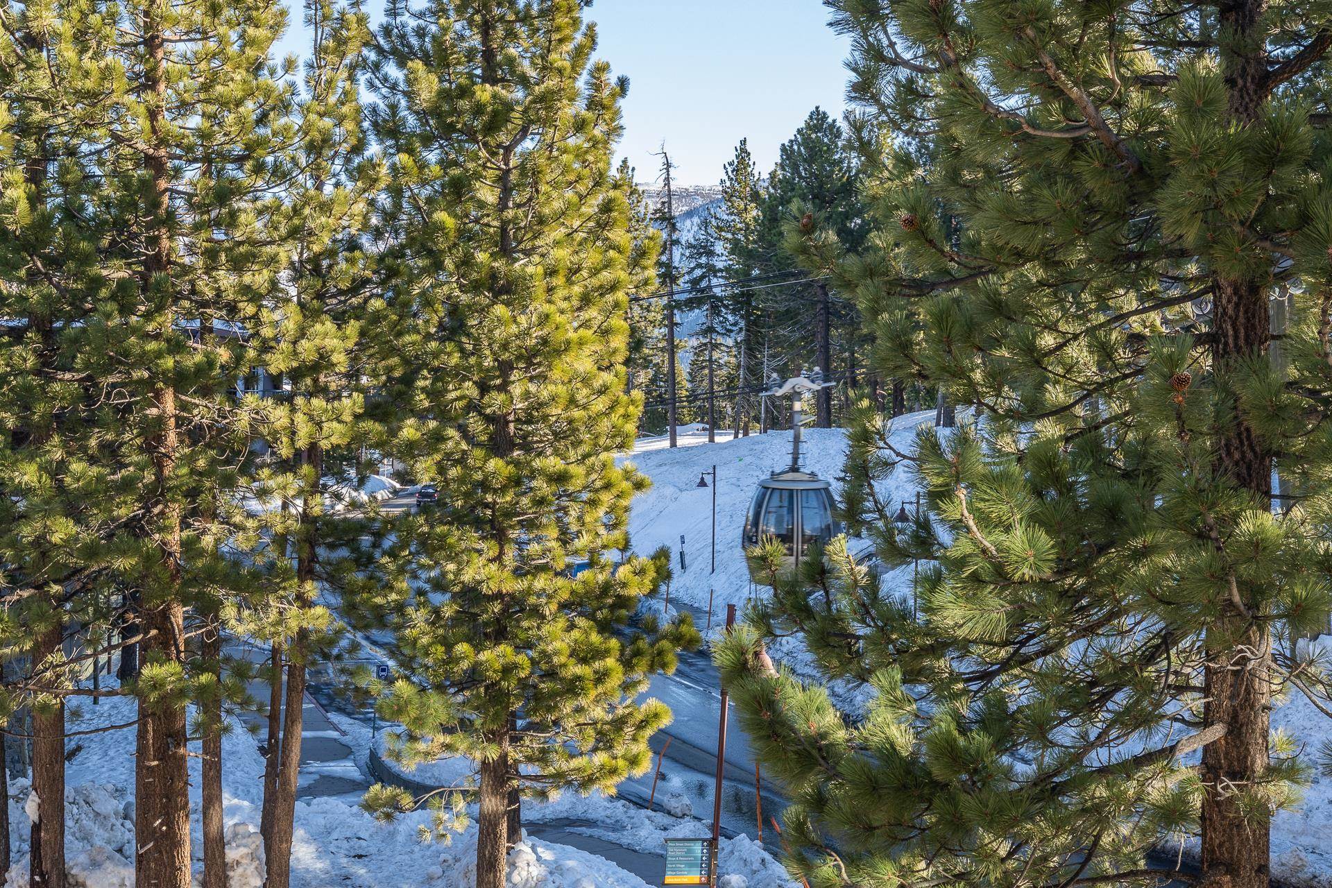 100 Canyon Blvd #3321