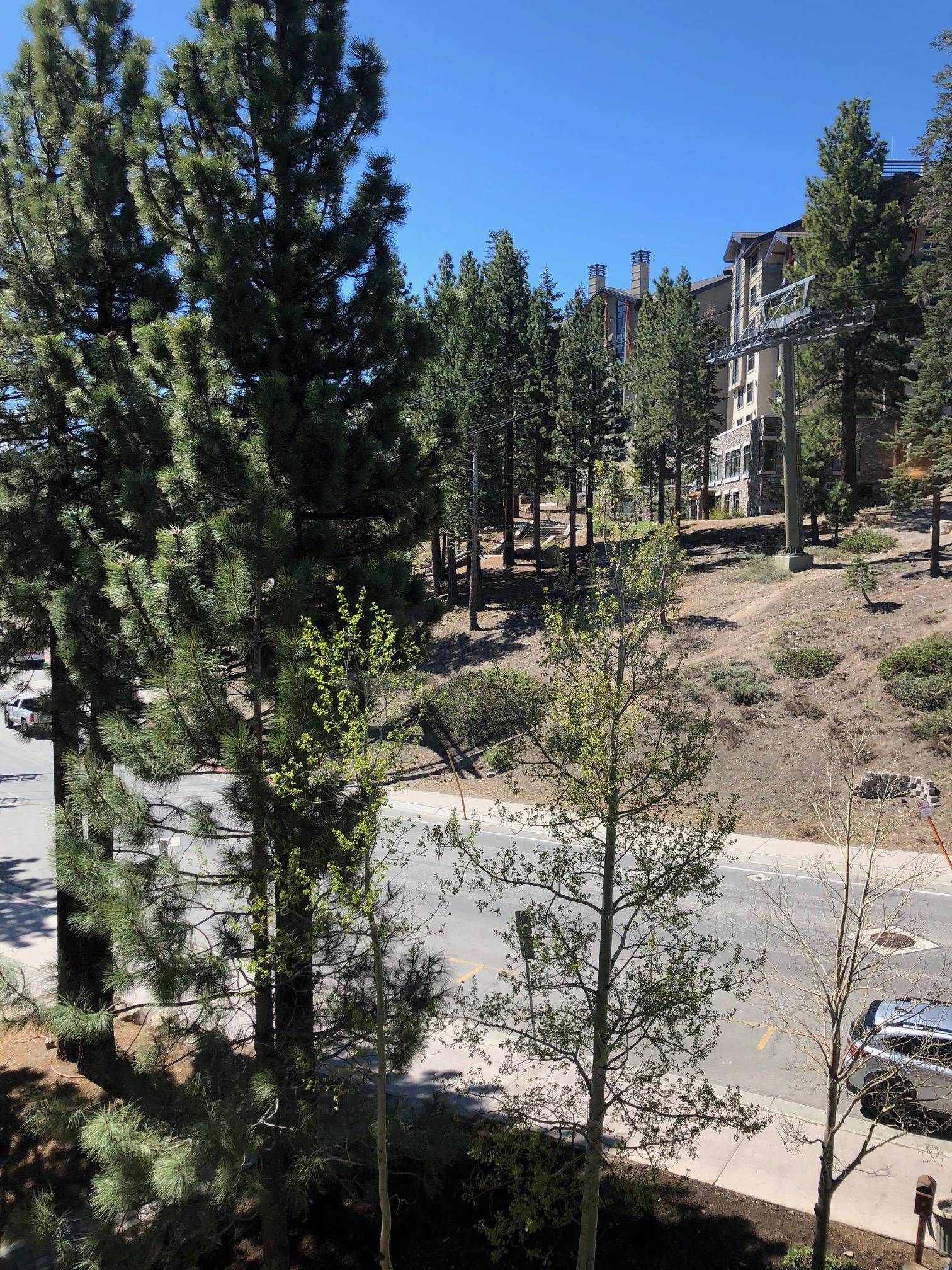 100 Canyon Blvd #3321