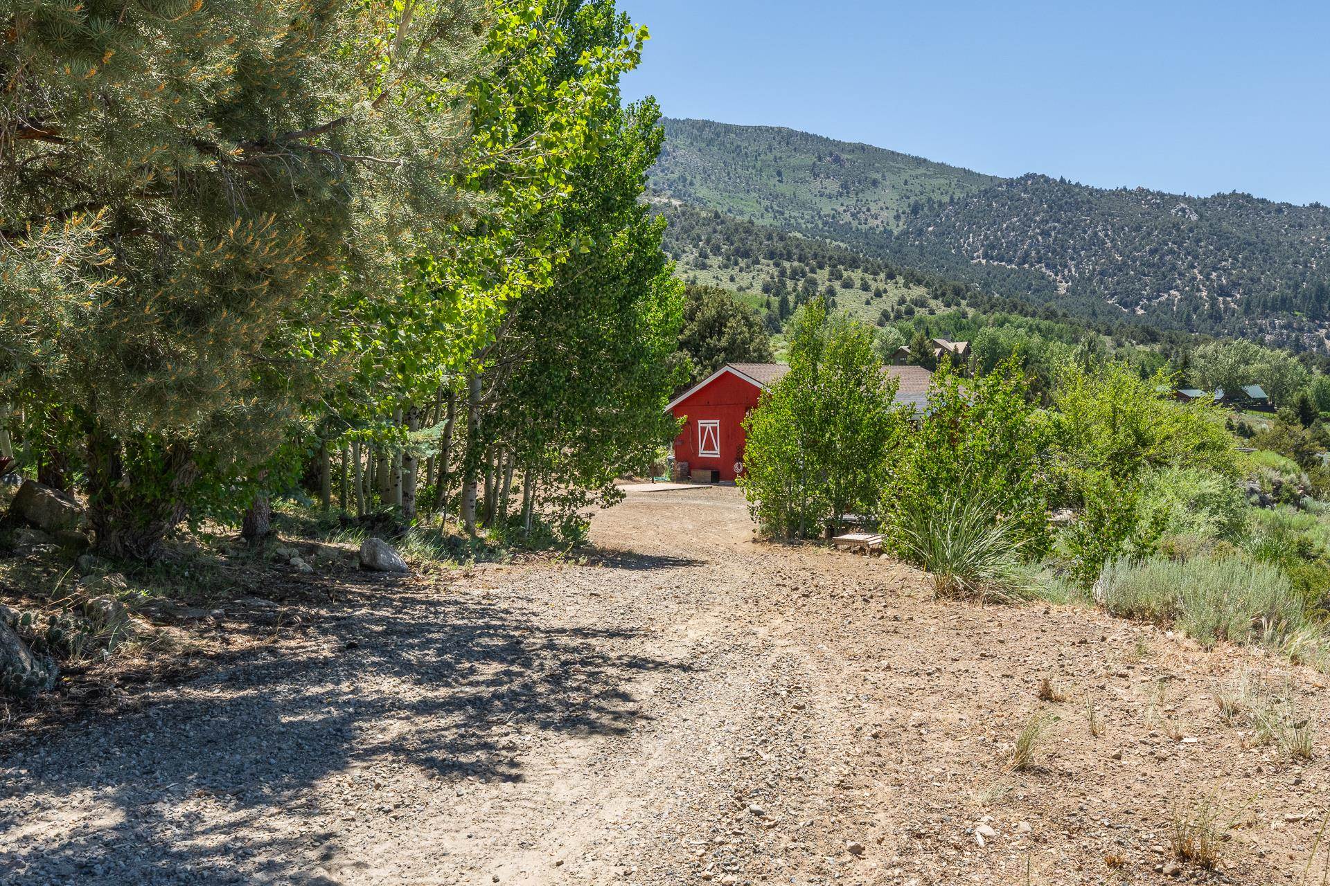 537 Aspen Springs Ranch Rd