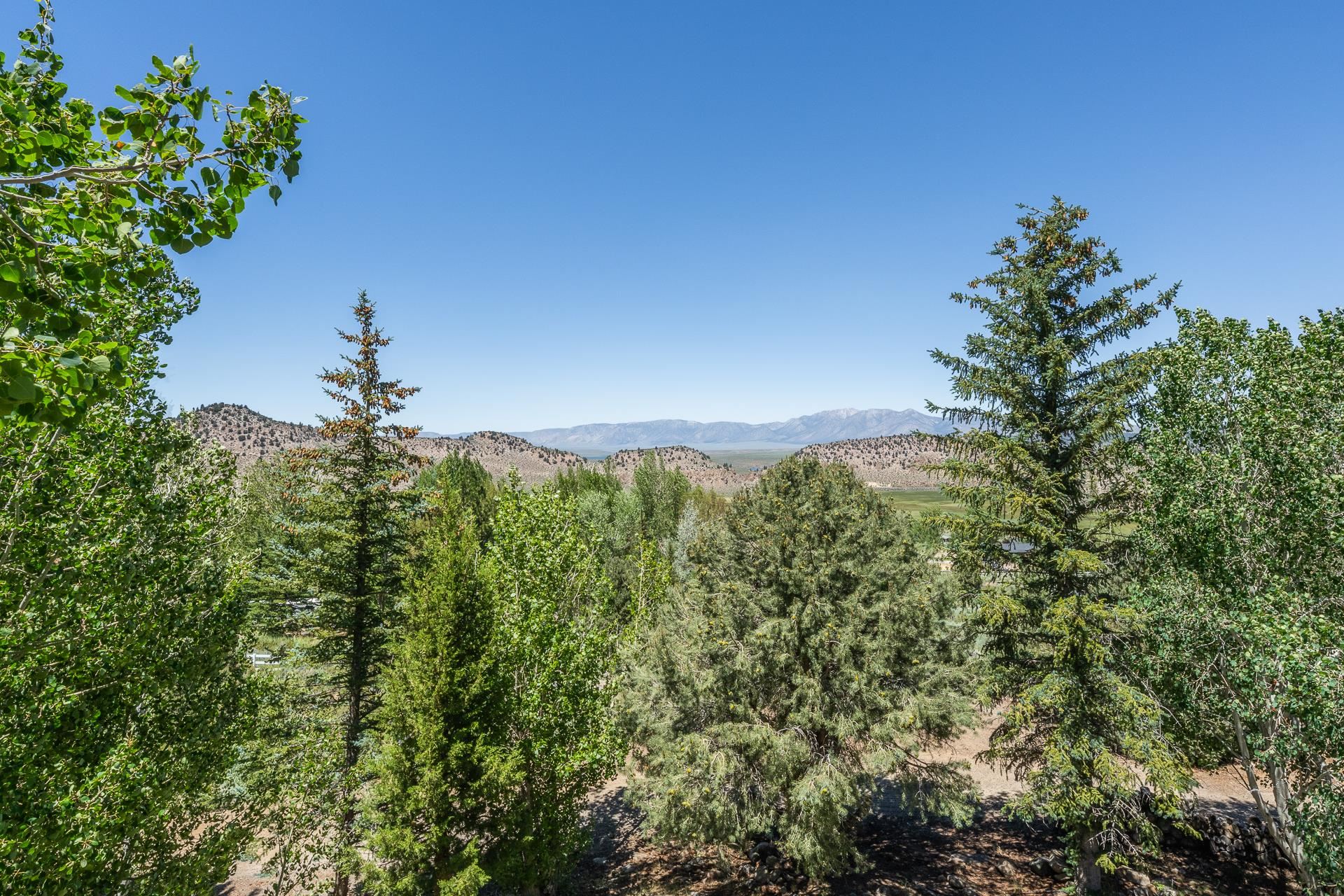 537 Aspen Springs Ranch Rd