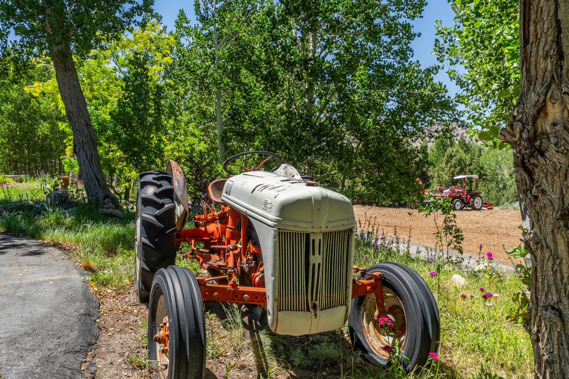 537 Aspen Springs Ranch Rd