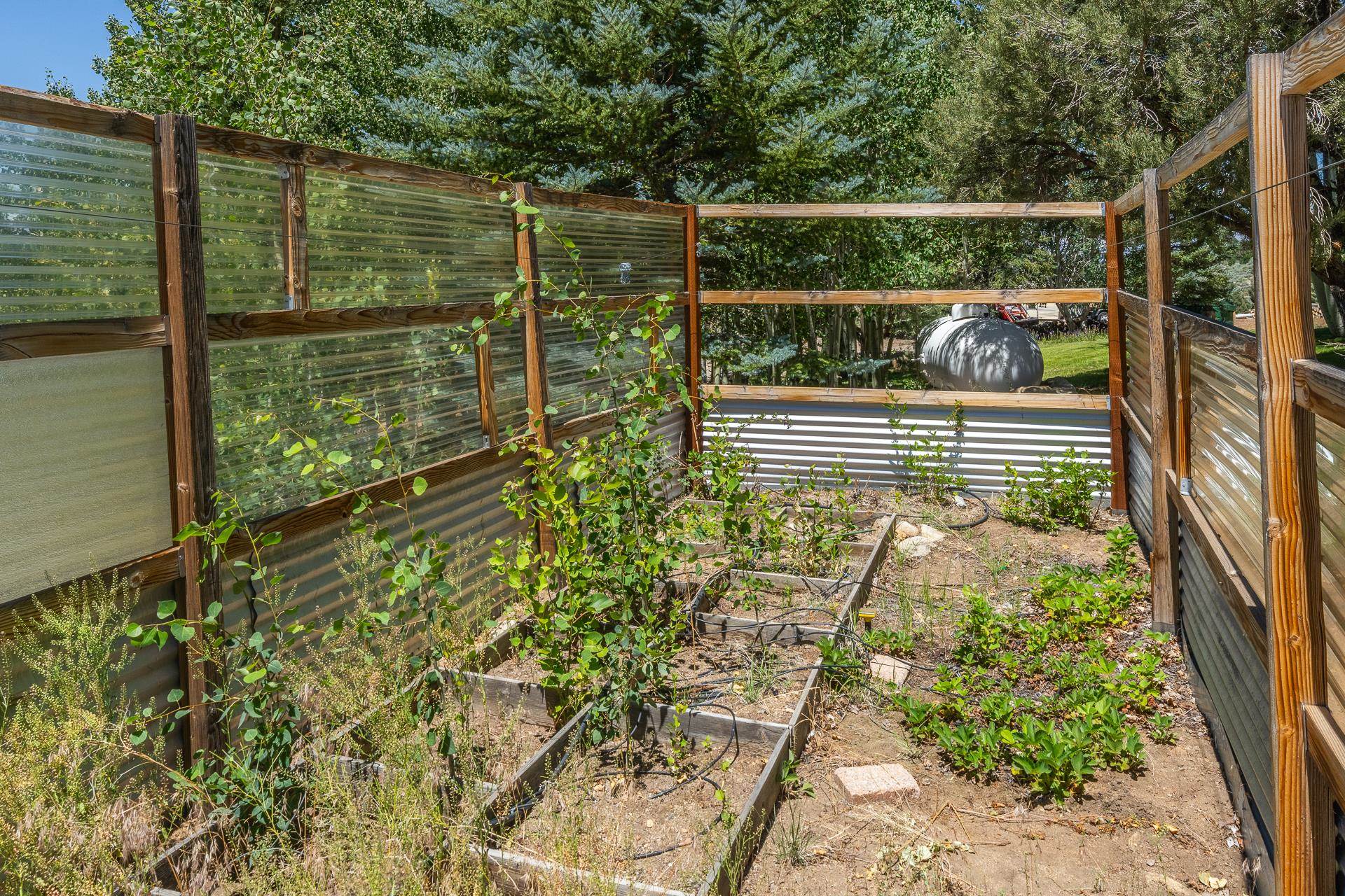 537 Aspen Springs Ranch Rd