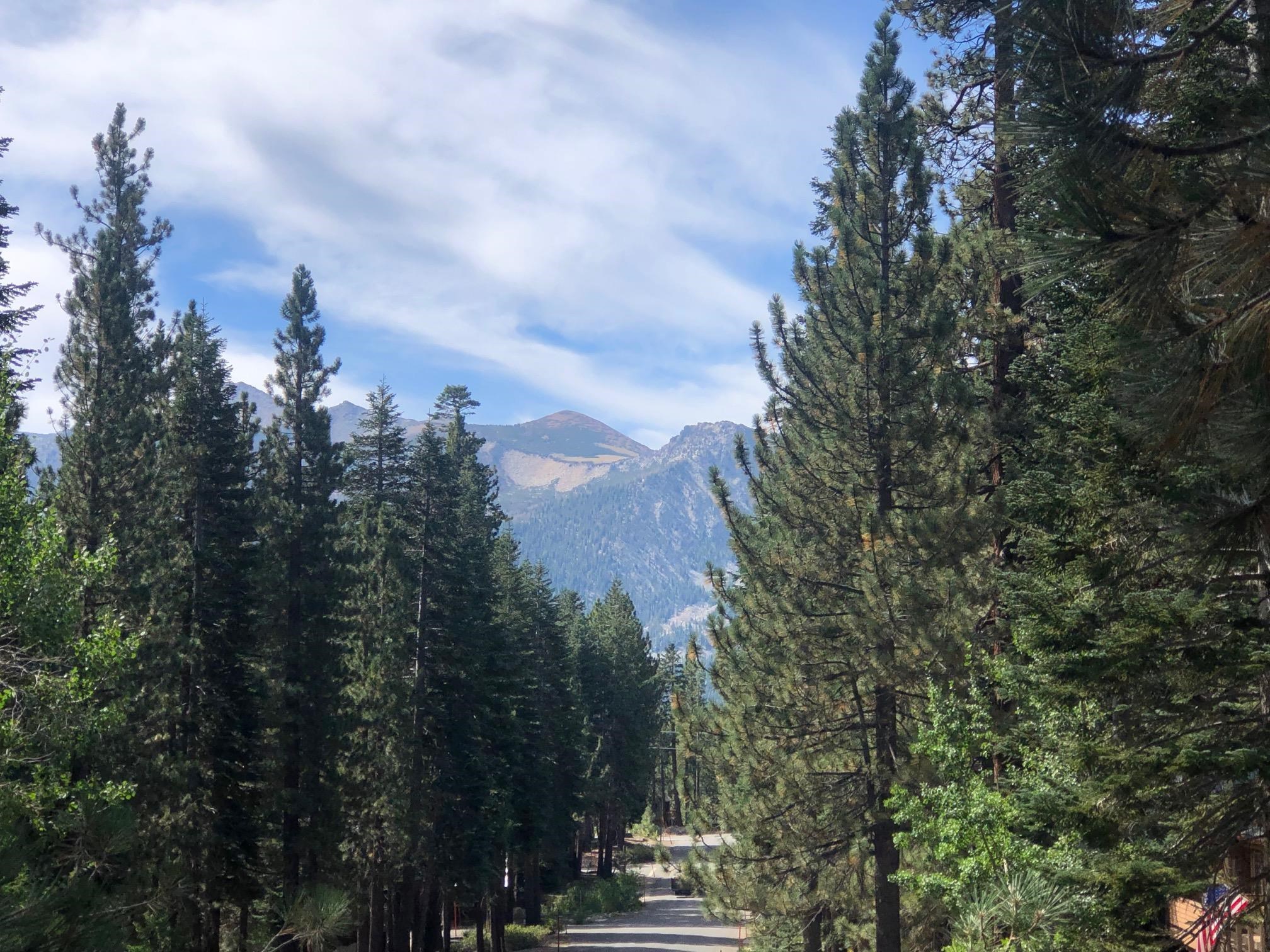 198 Grindelwald Road