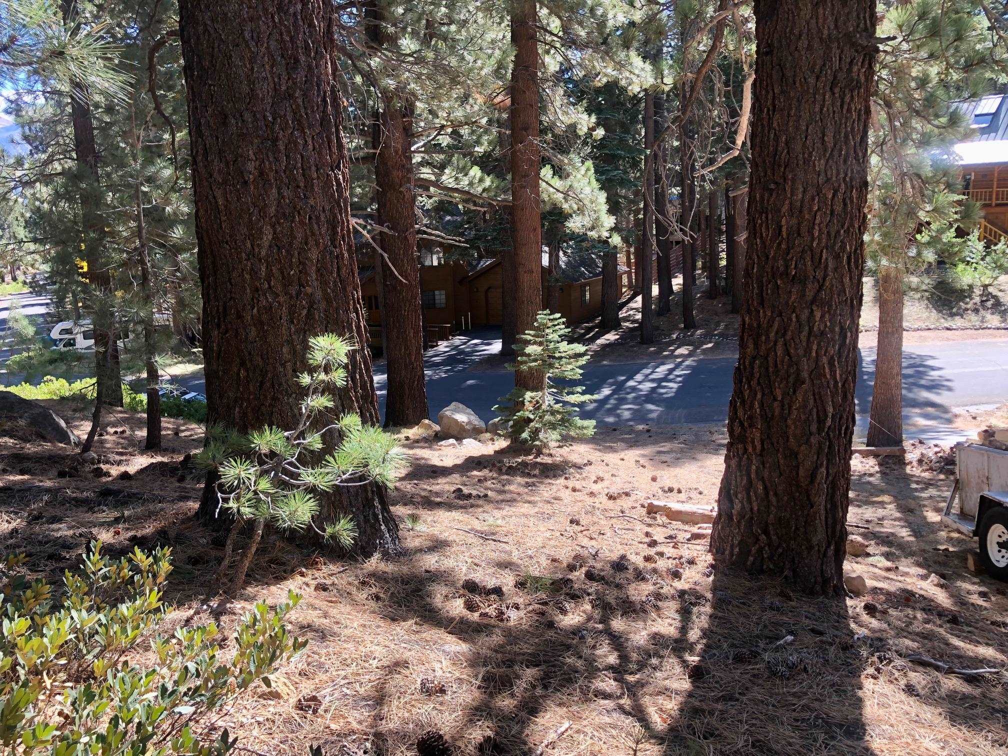 198 Grindelwald Road