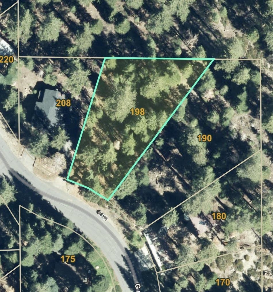198 Grindelwald Road