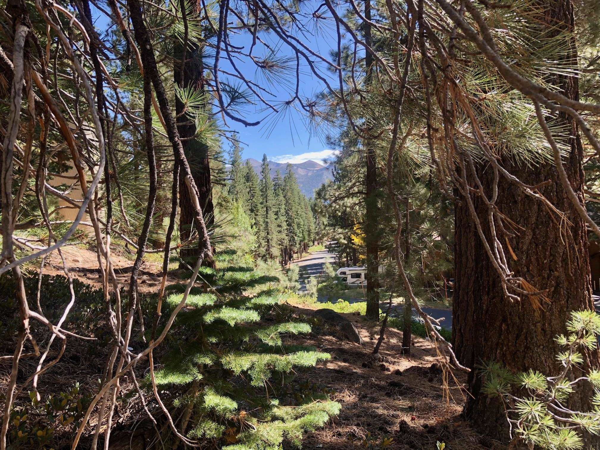 198 Grindelwald Road