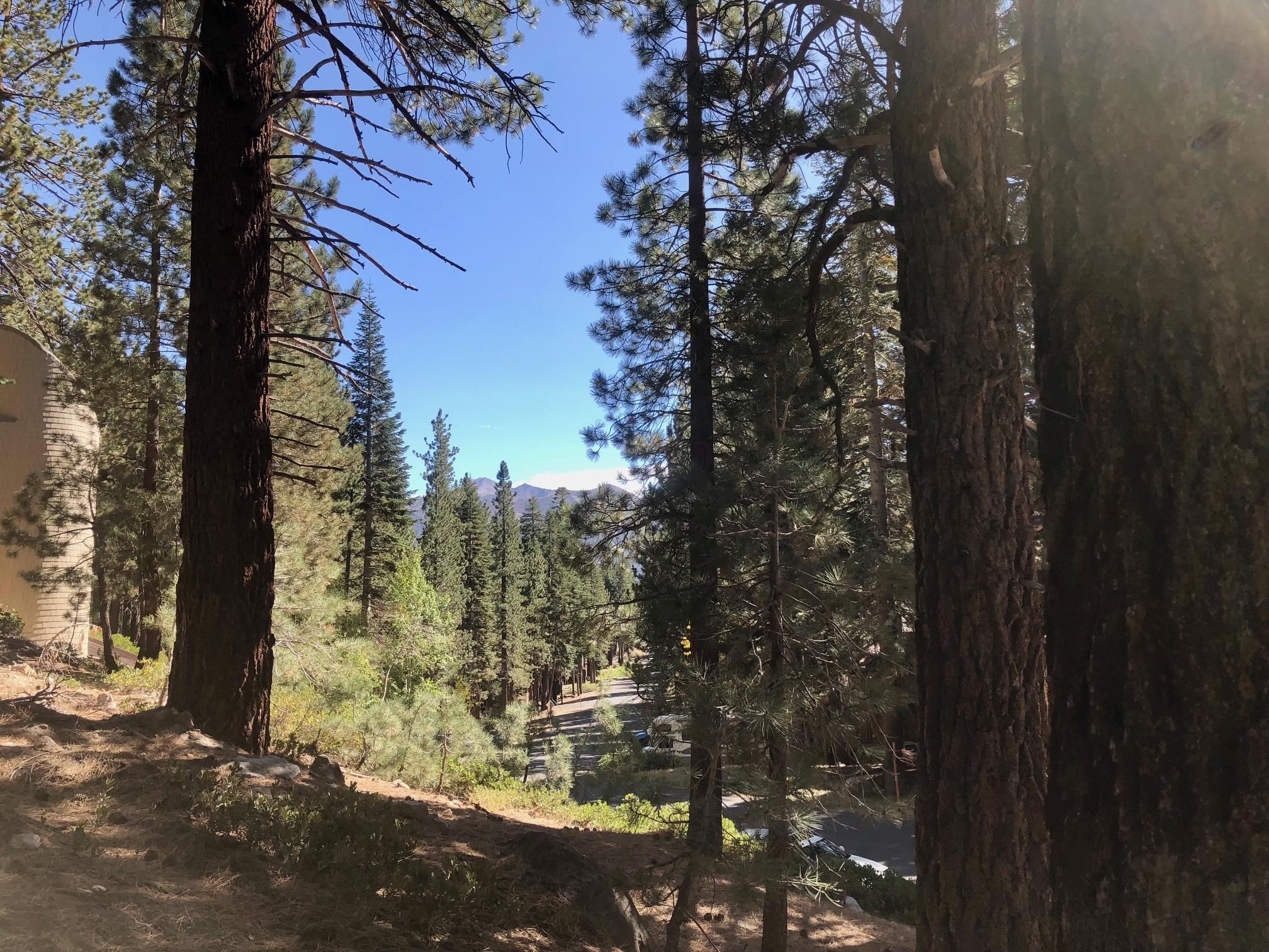 198 Grindelwald Road