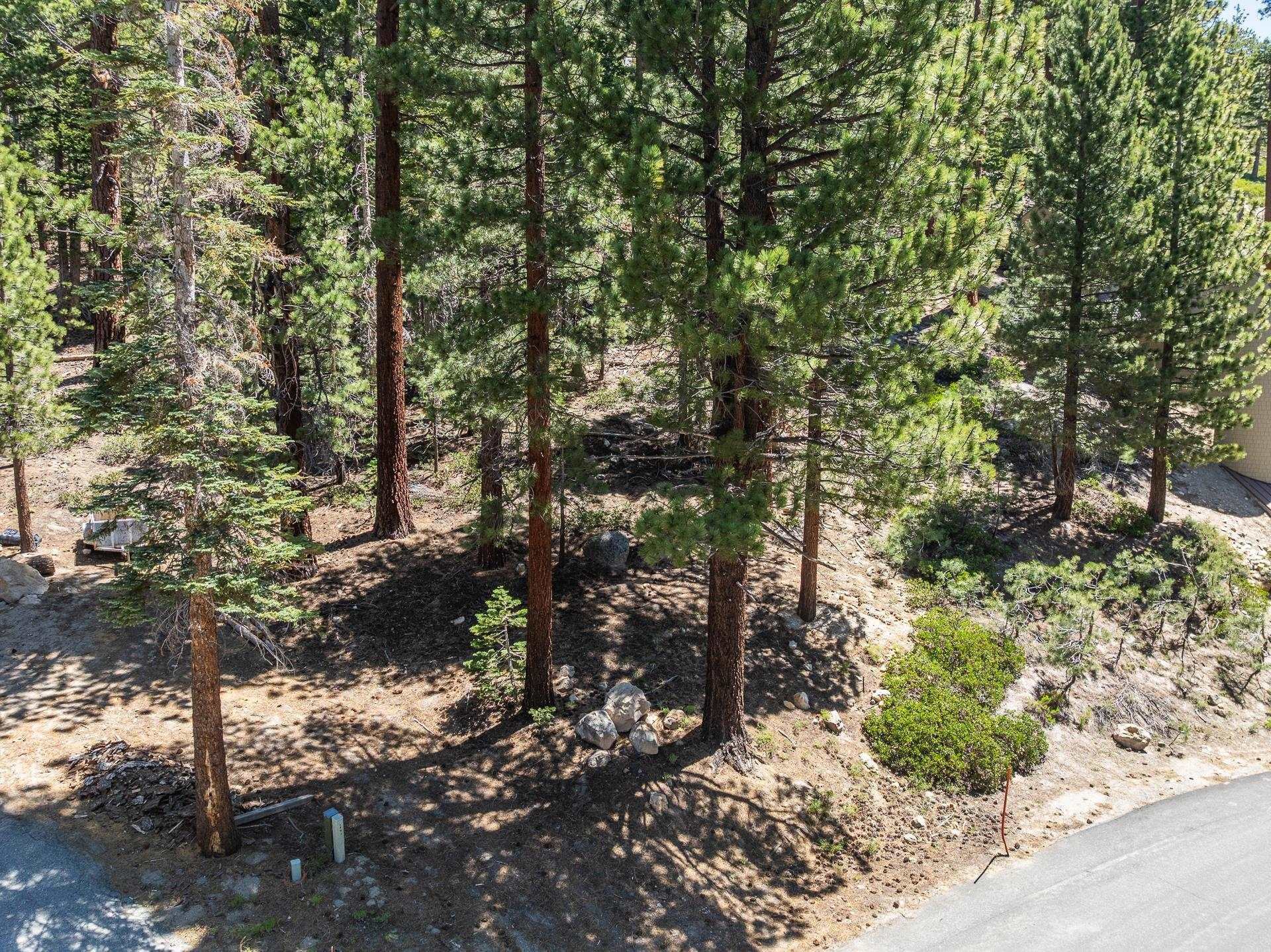 198 Grindelwald Road