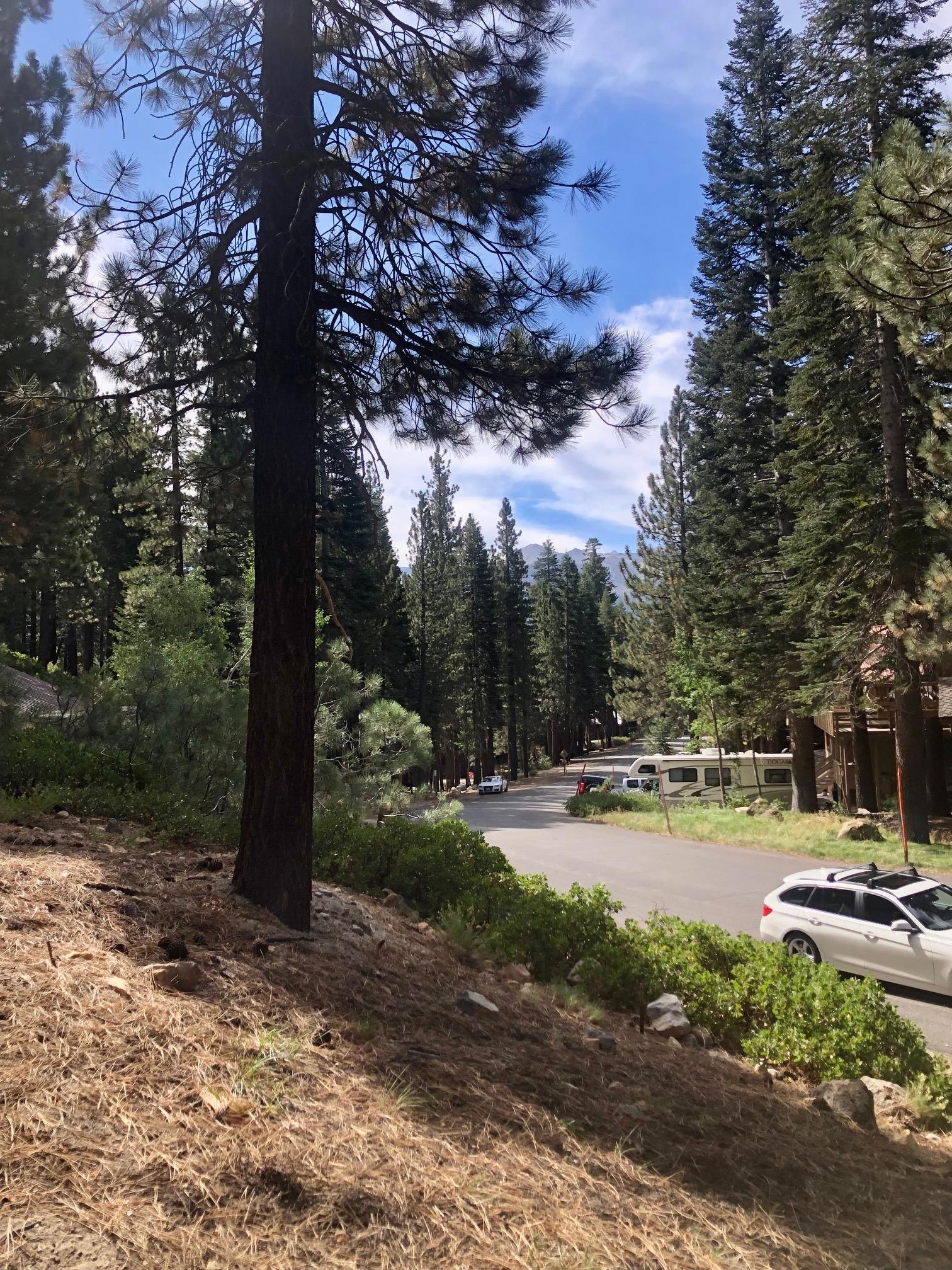 198 Grindelwald Road