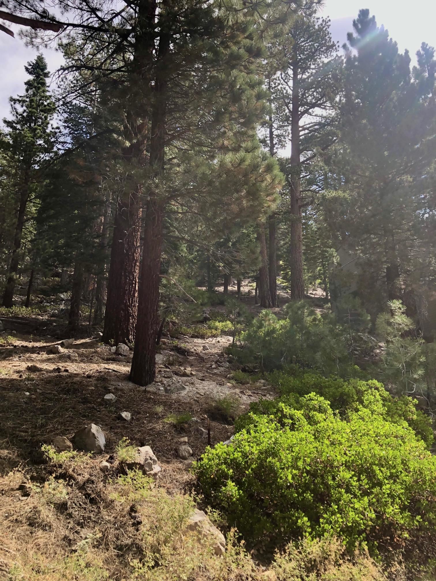 198 Grindelwald Road