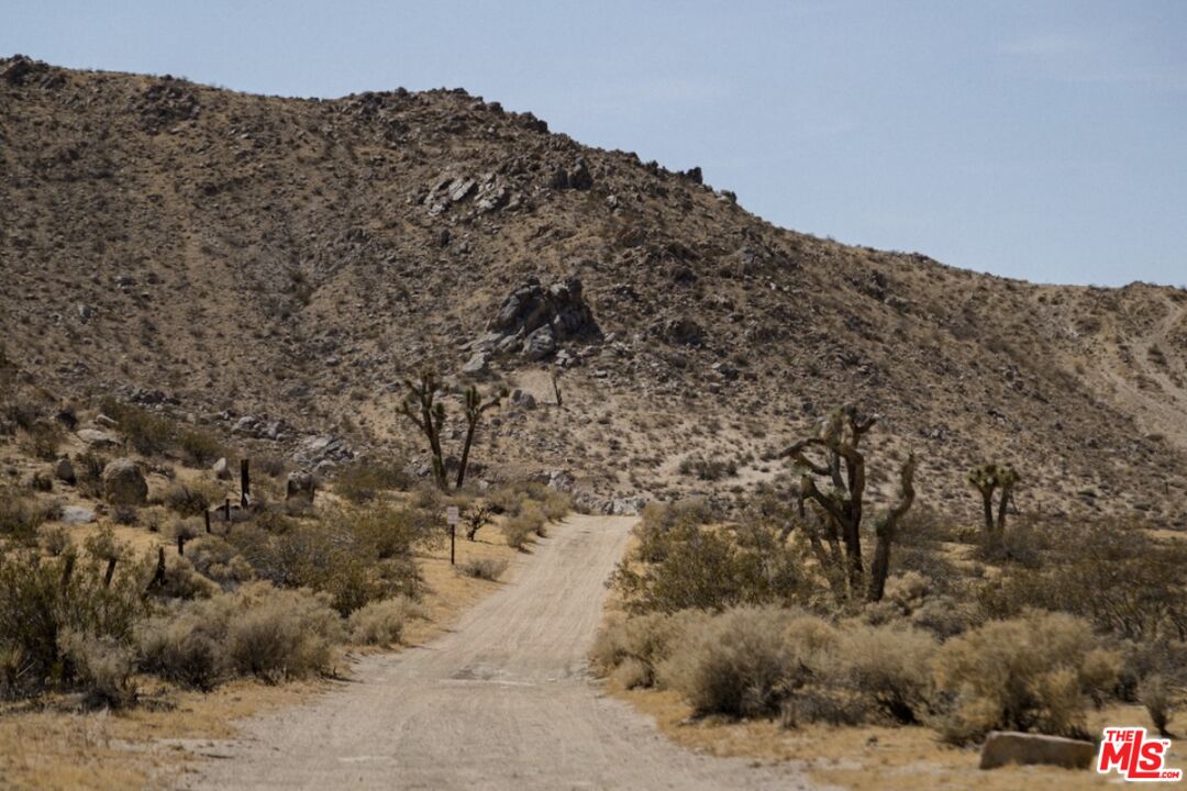 20288 Grey Mountain Rd