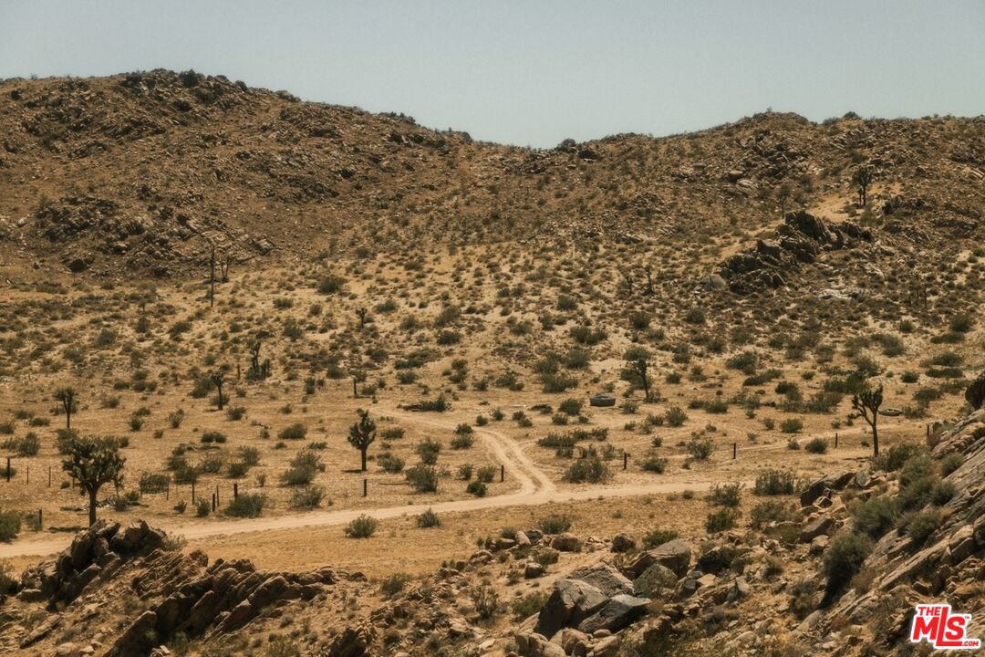 20288 Grey Mountain Rd