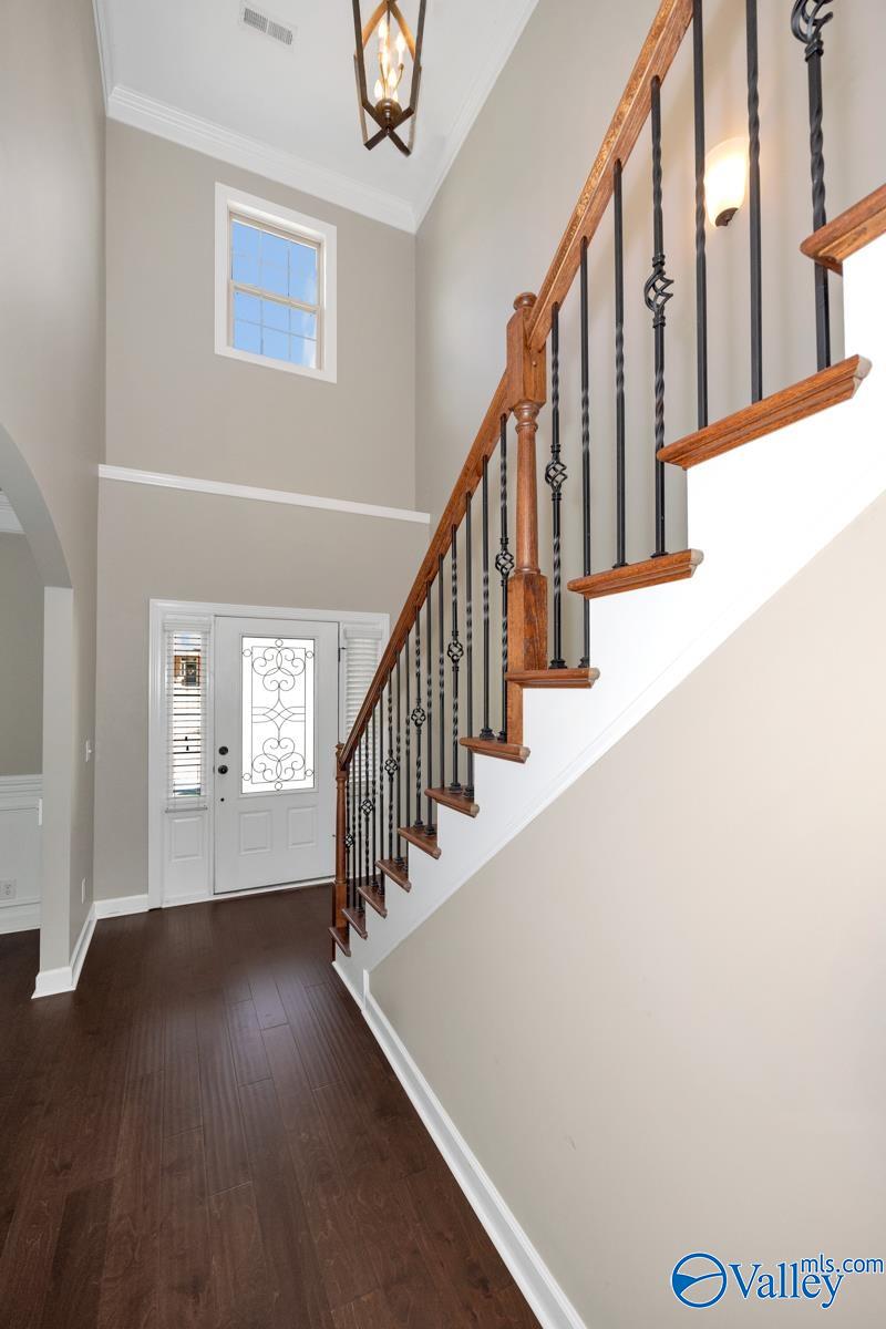7009 Jane Elizabeth Drive