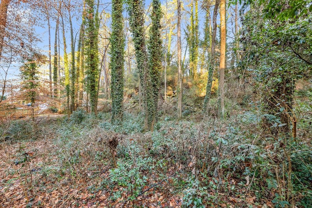2527 Skyland Trail