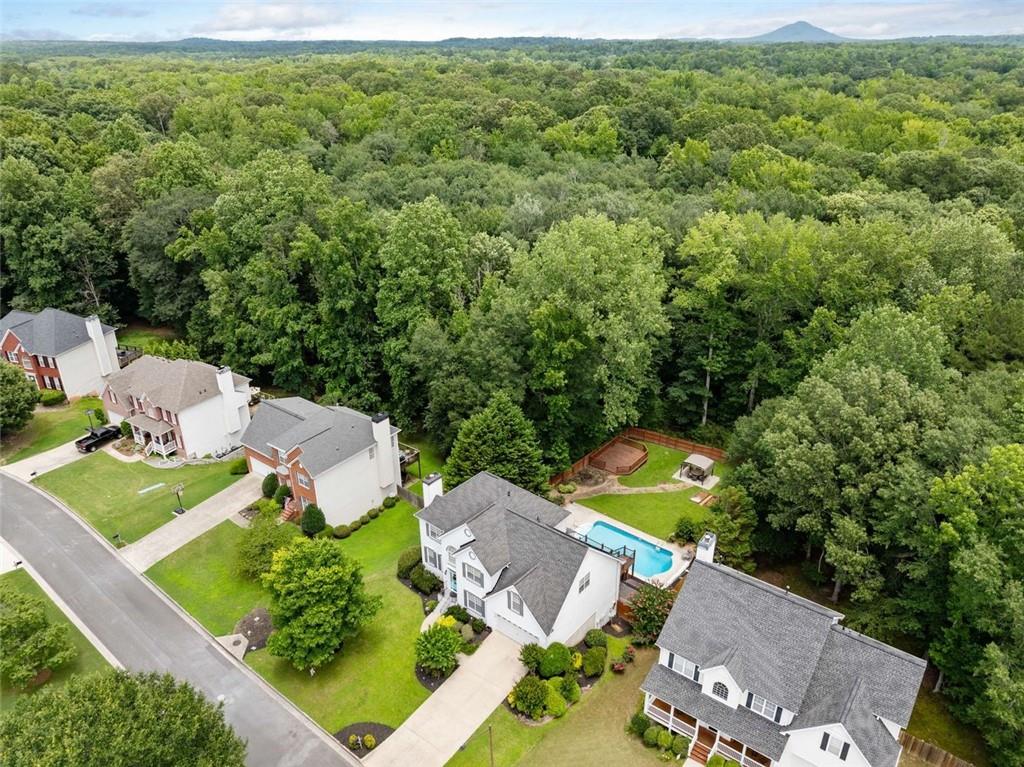 1567 Vine Leaf Drive