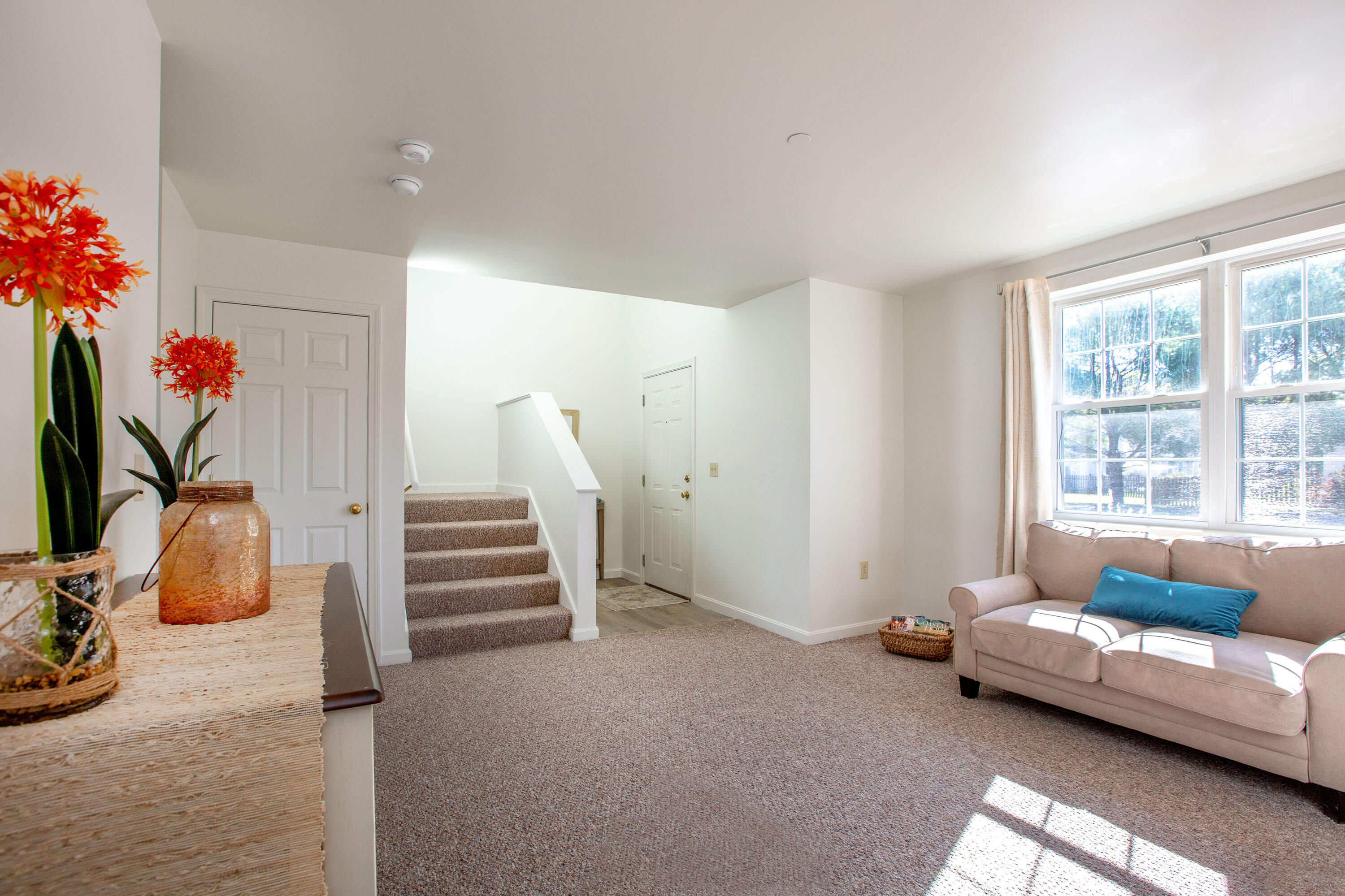 15 Hornet Street, 15