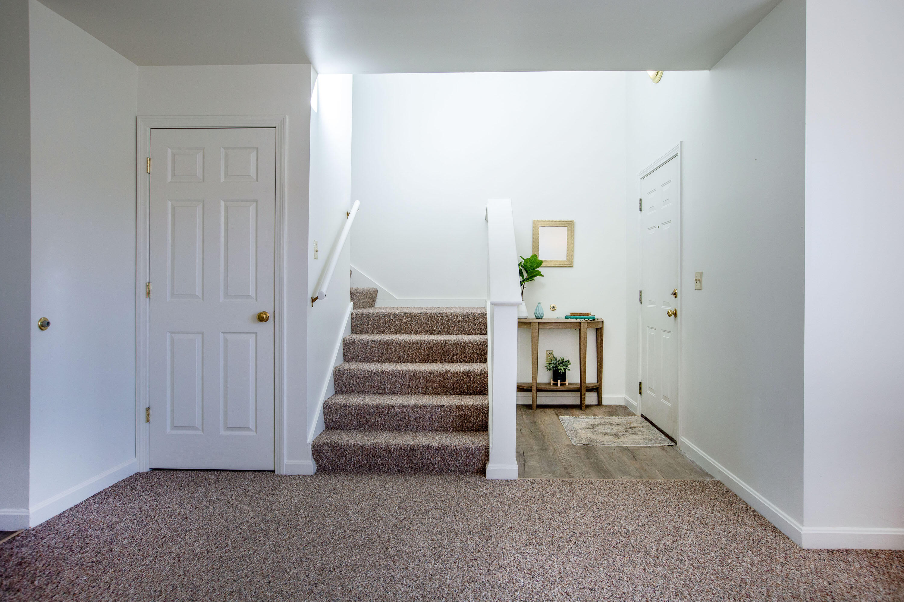 15 Hornet Street, 15