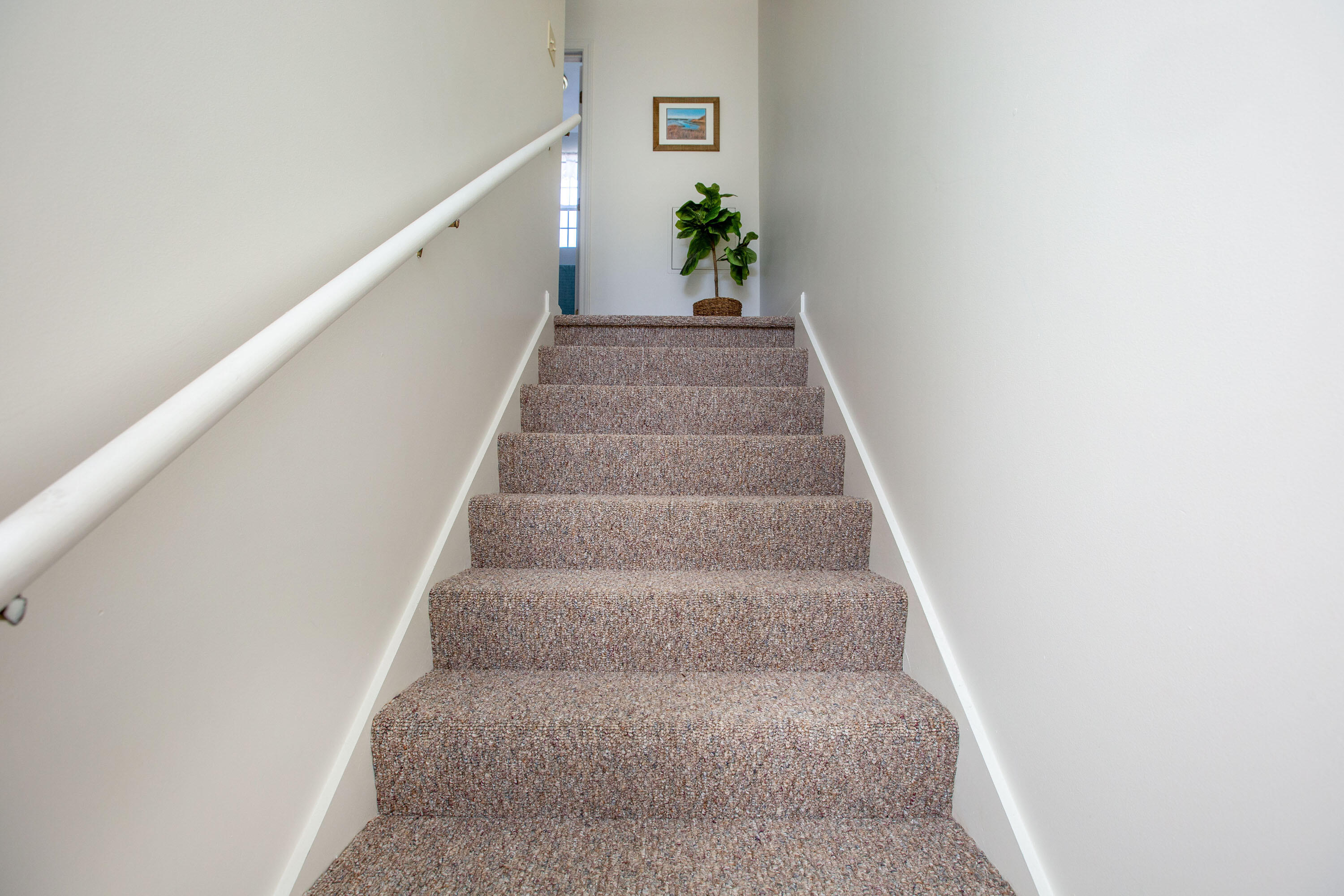 15 Hornet Street, 15