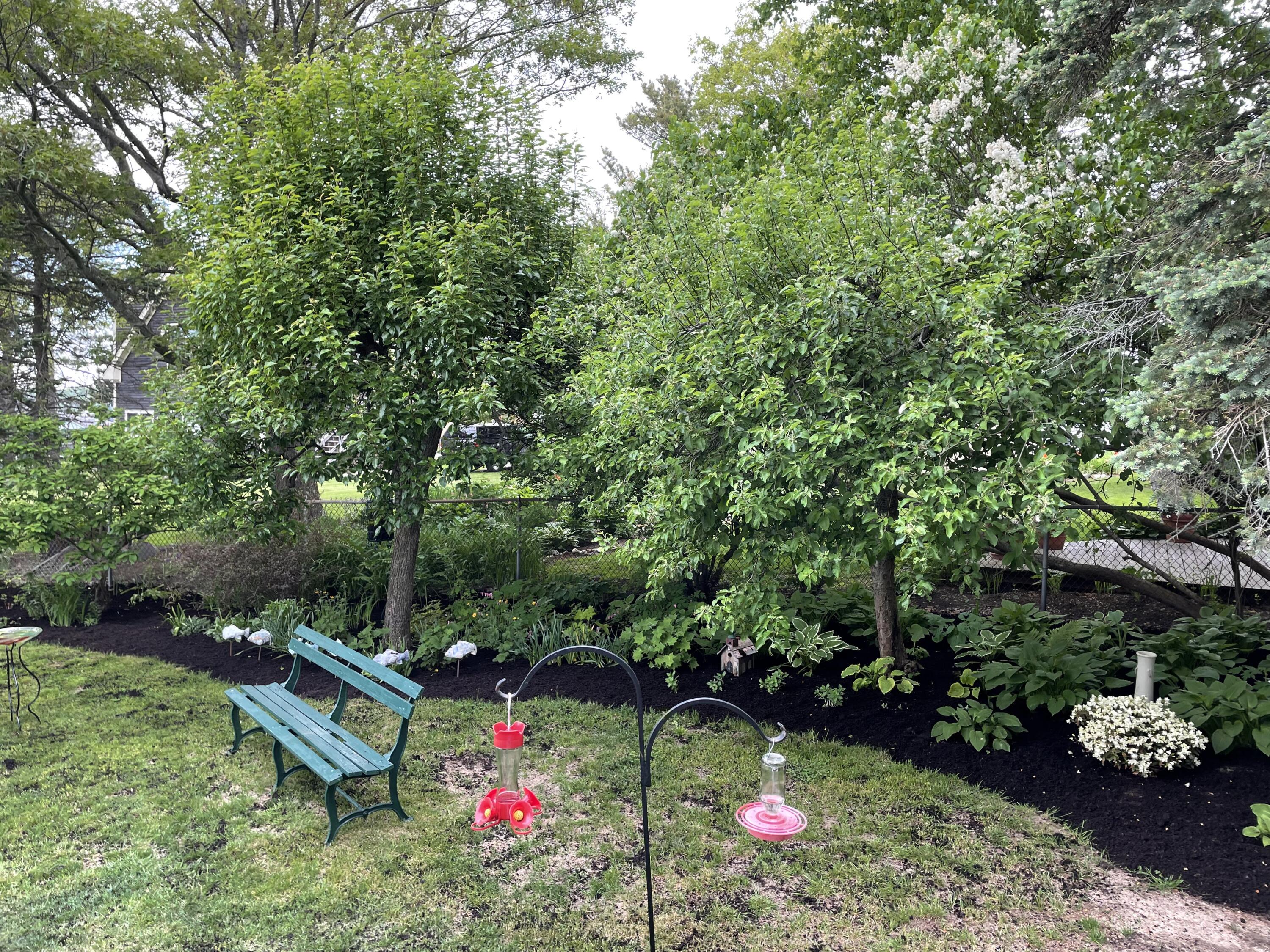 61 Island Avenue