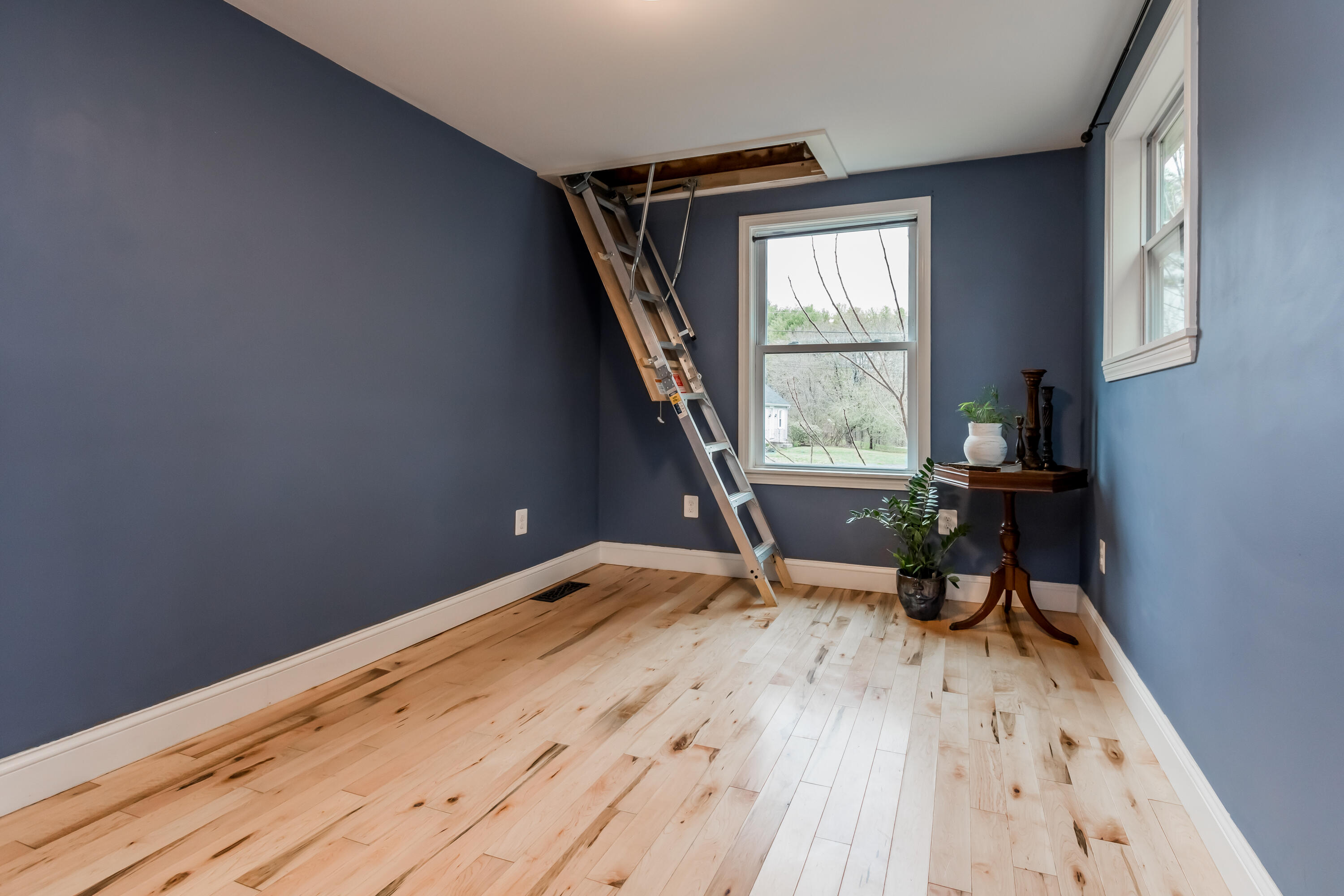 98 Longwoods Road