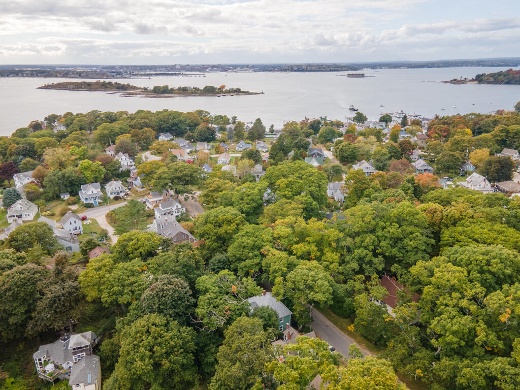 91 New Island Avenue