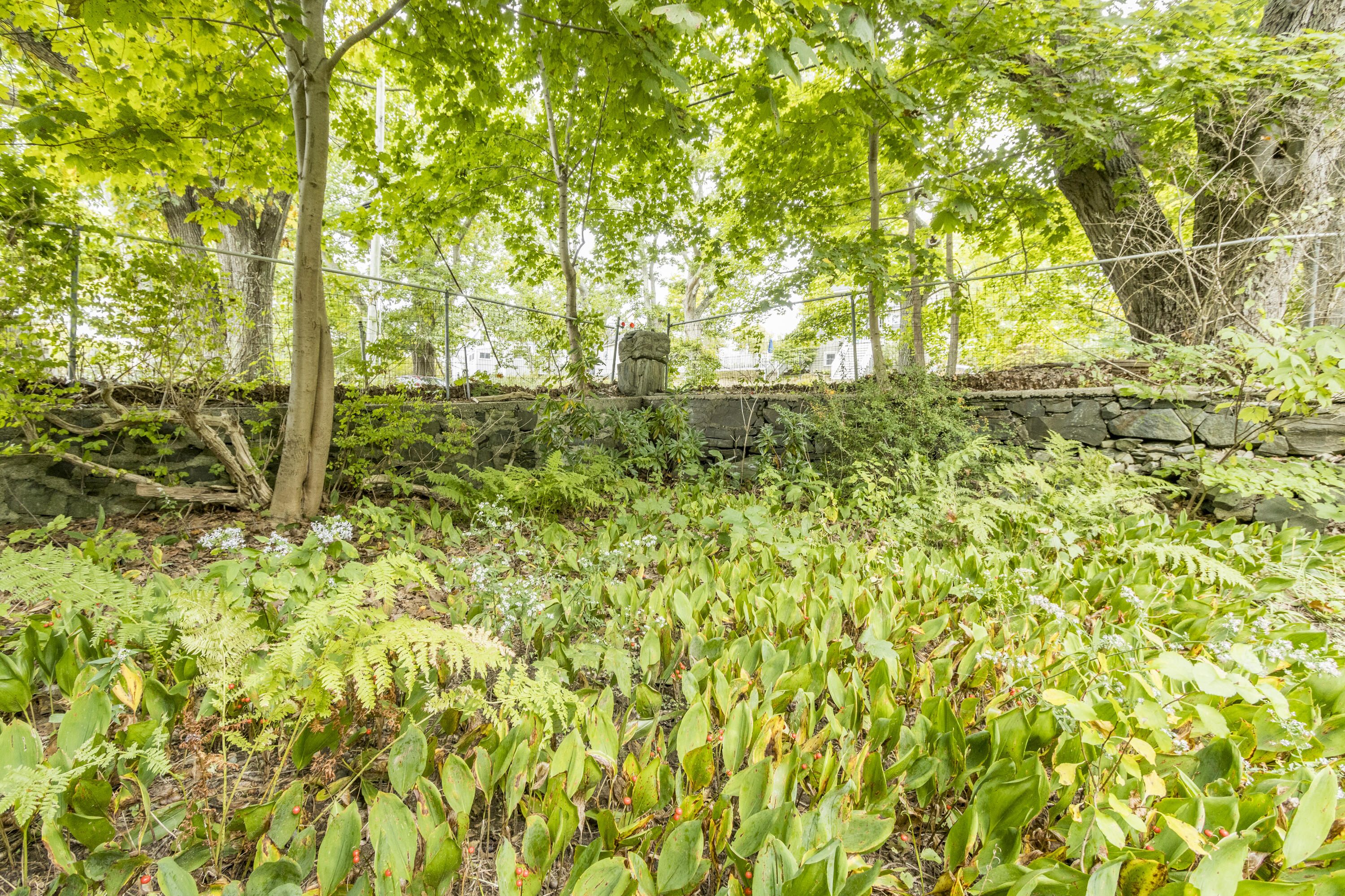 91 New Island Avenue