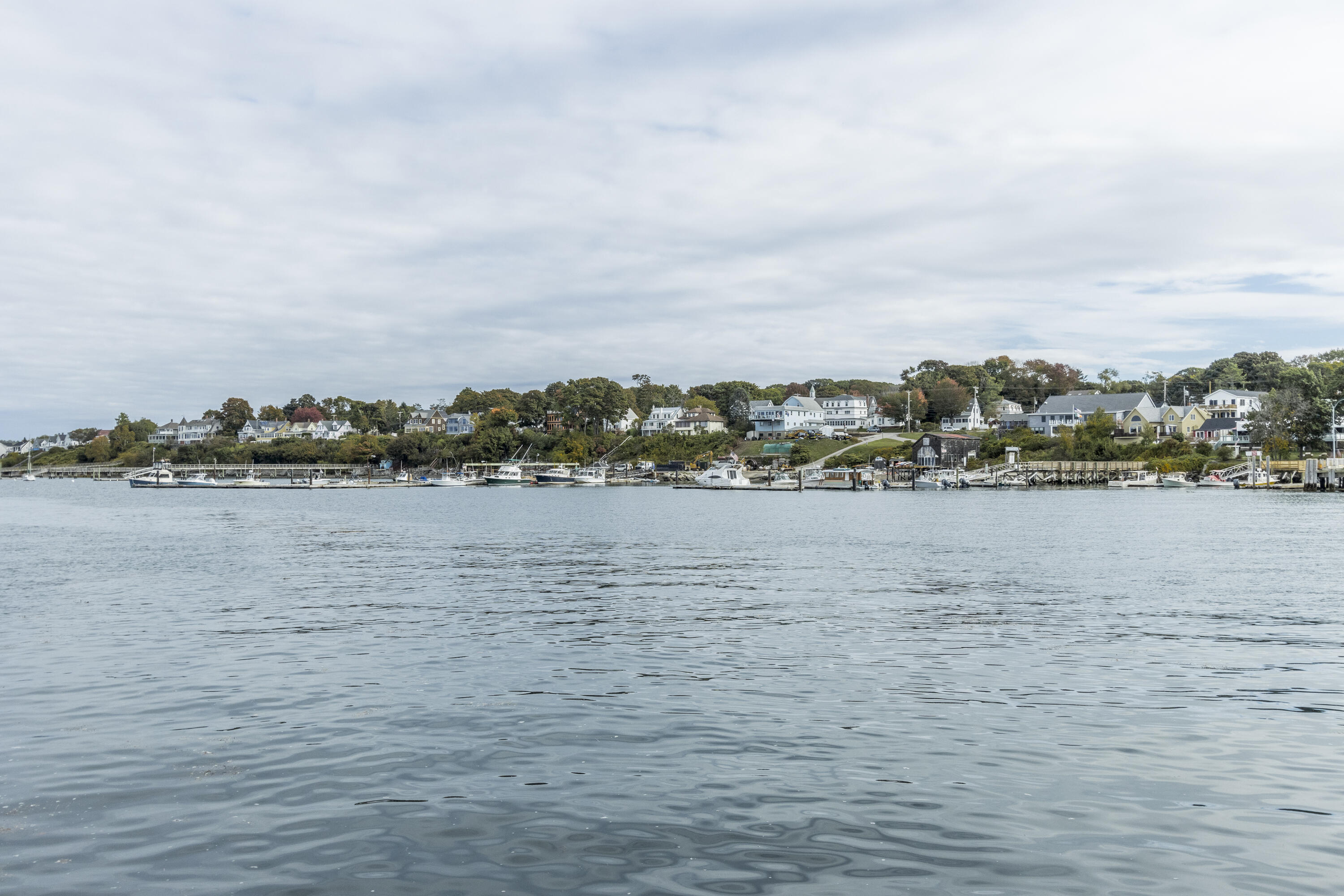 91 New Island Avenue