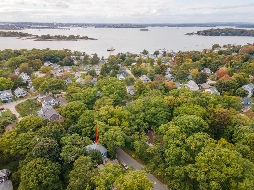 91 New Island Avenue