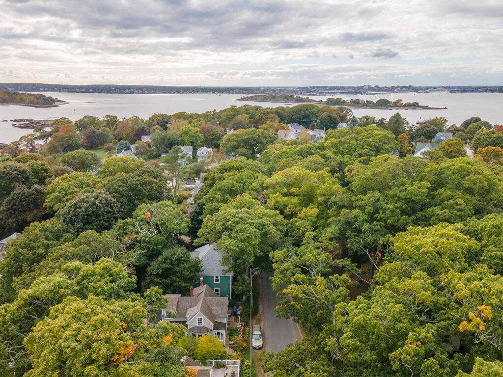 91 New Island Avenue