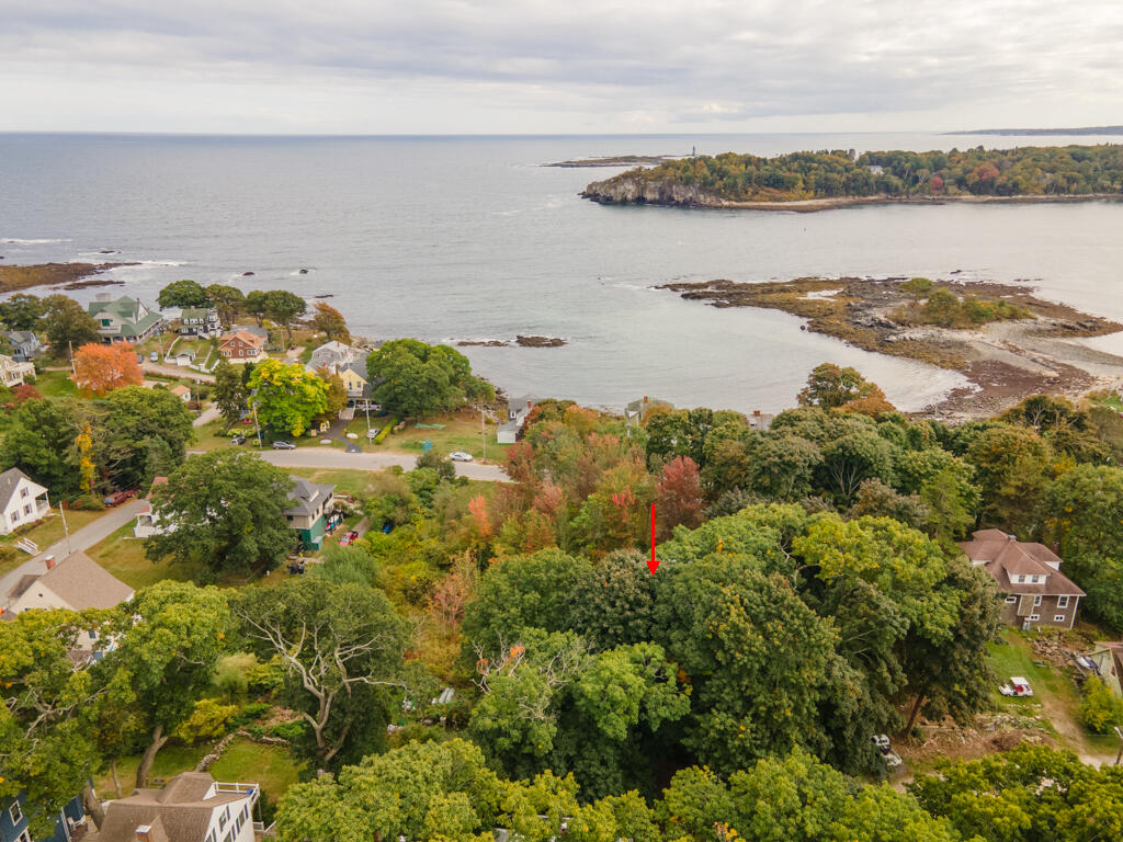 91 New Island Avenue