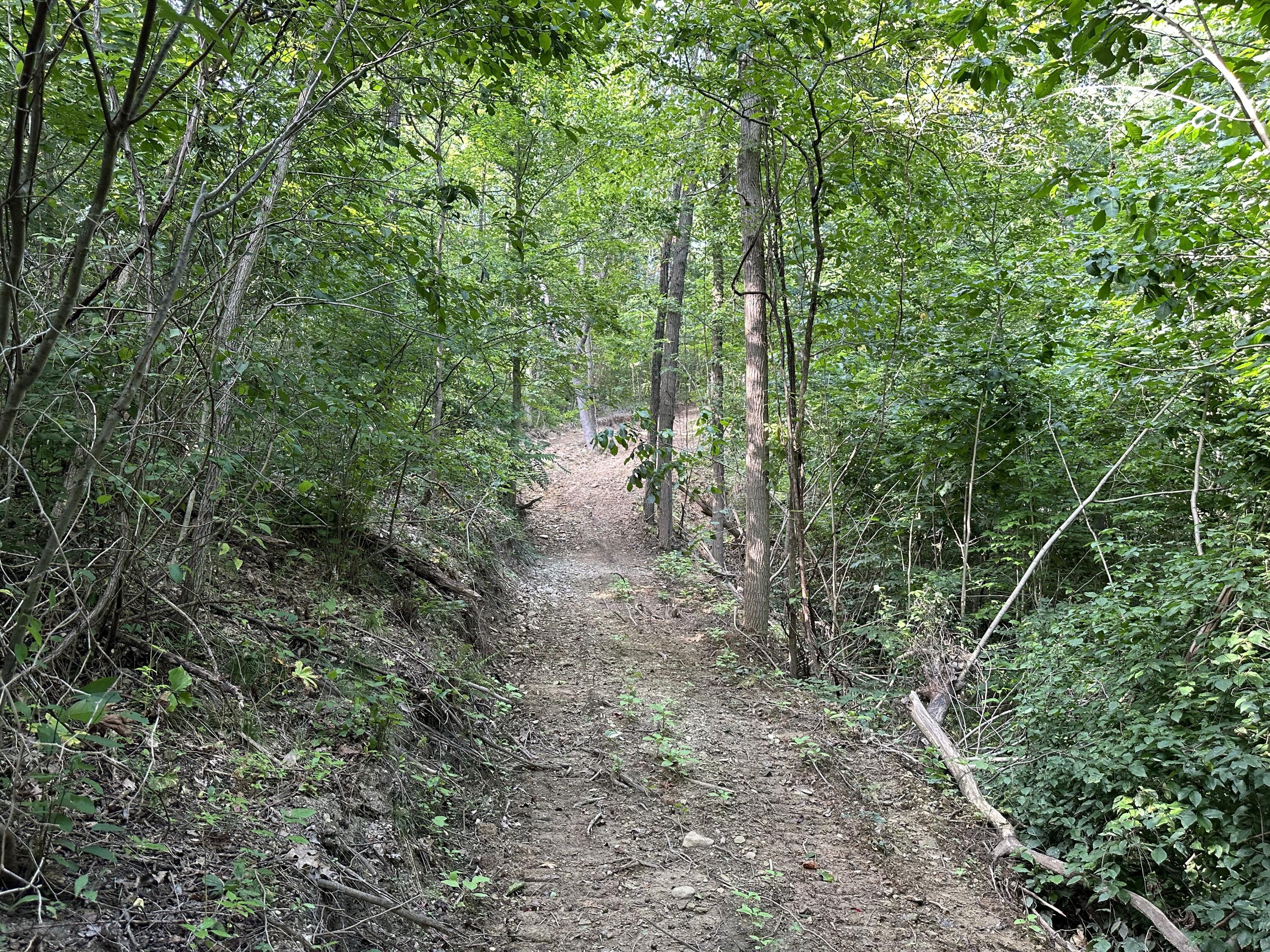 6690 Old State Road, (Perry Ridge - Tract 6)