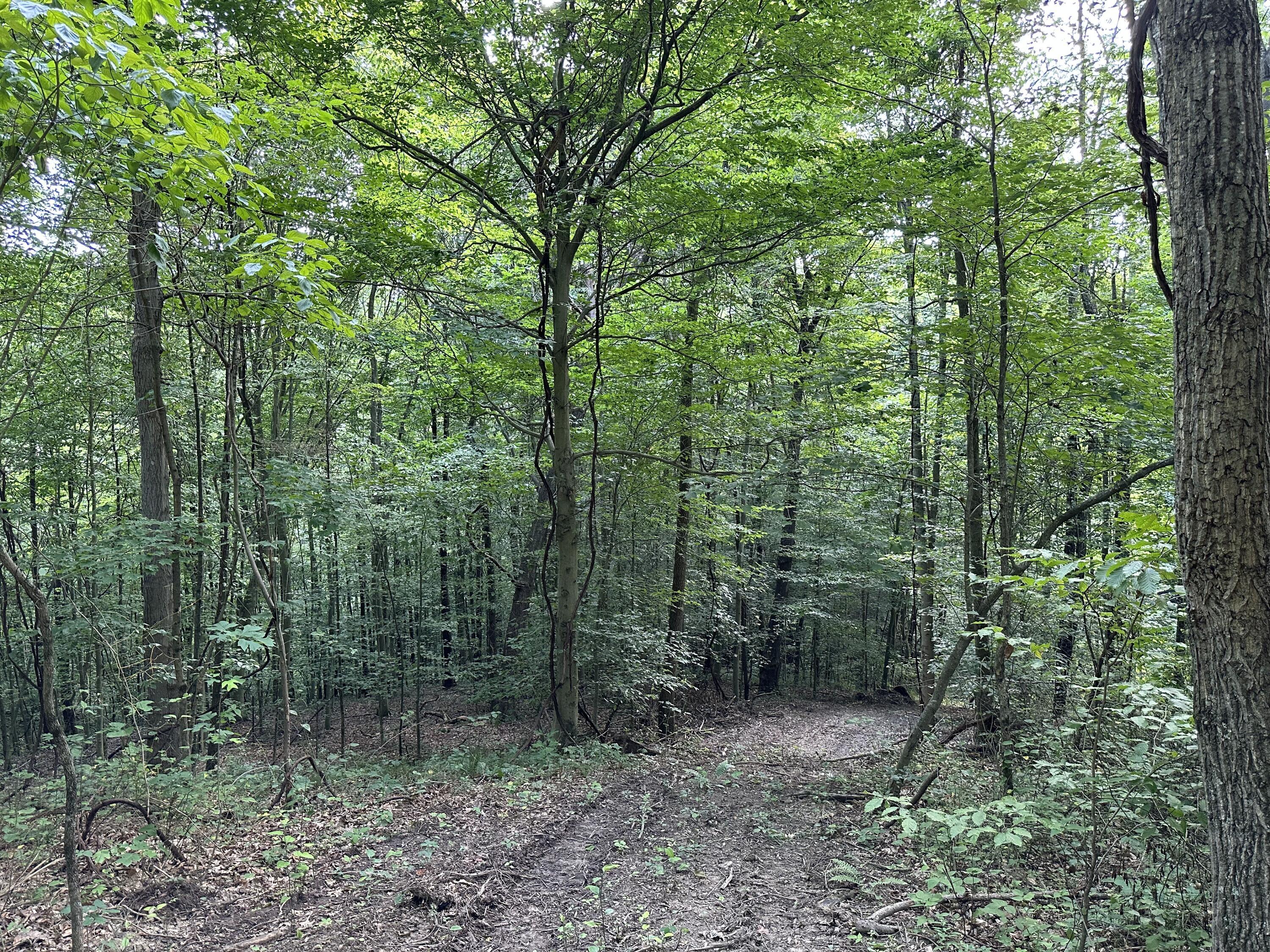 6690 Old State Road, (Perry Ridge - Tract 6)