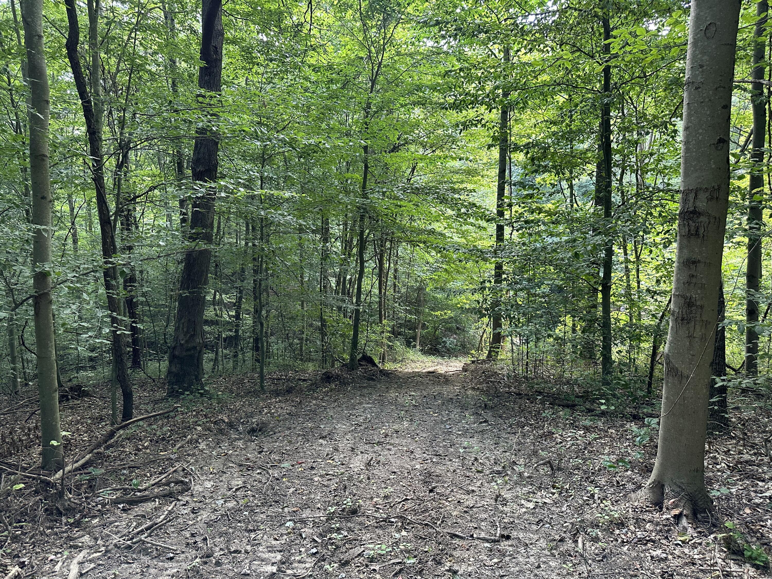 6690 Old State Road, (Perry Ridge - Tract 6)