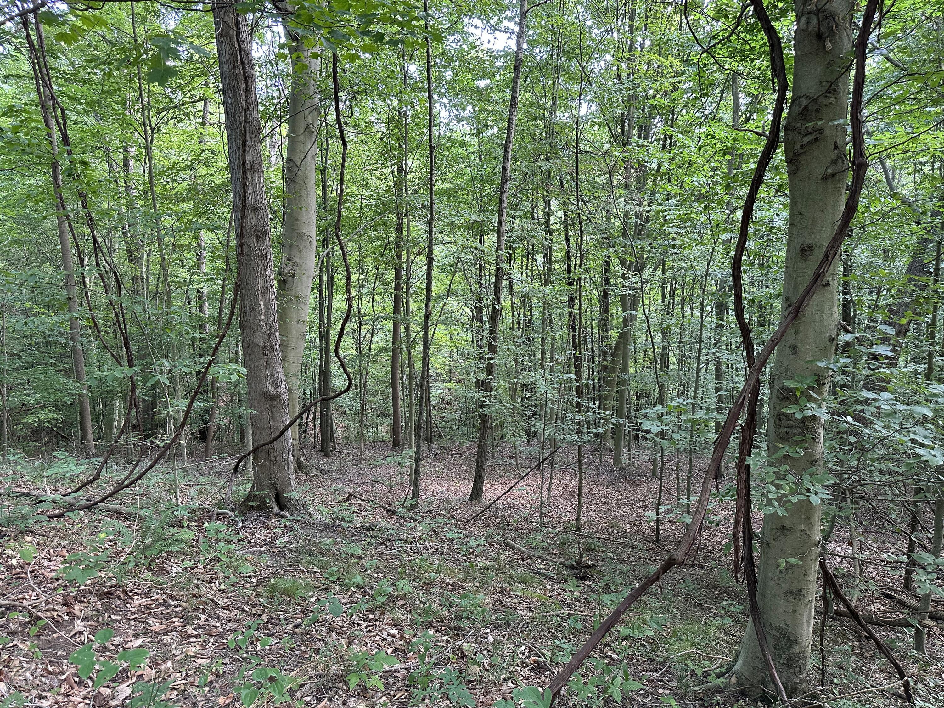 6690 Old State Road, (Perry Ridge - Tract 6)