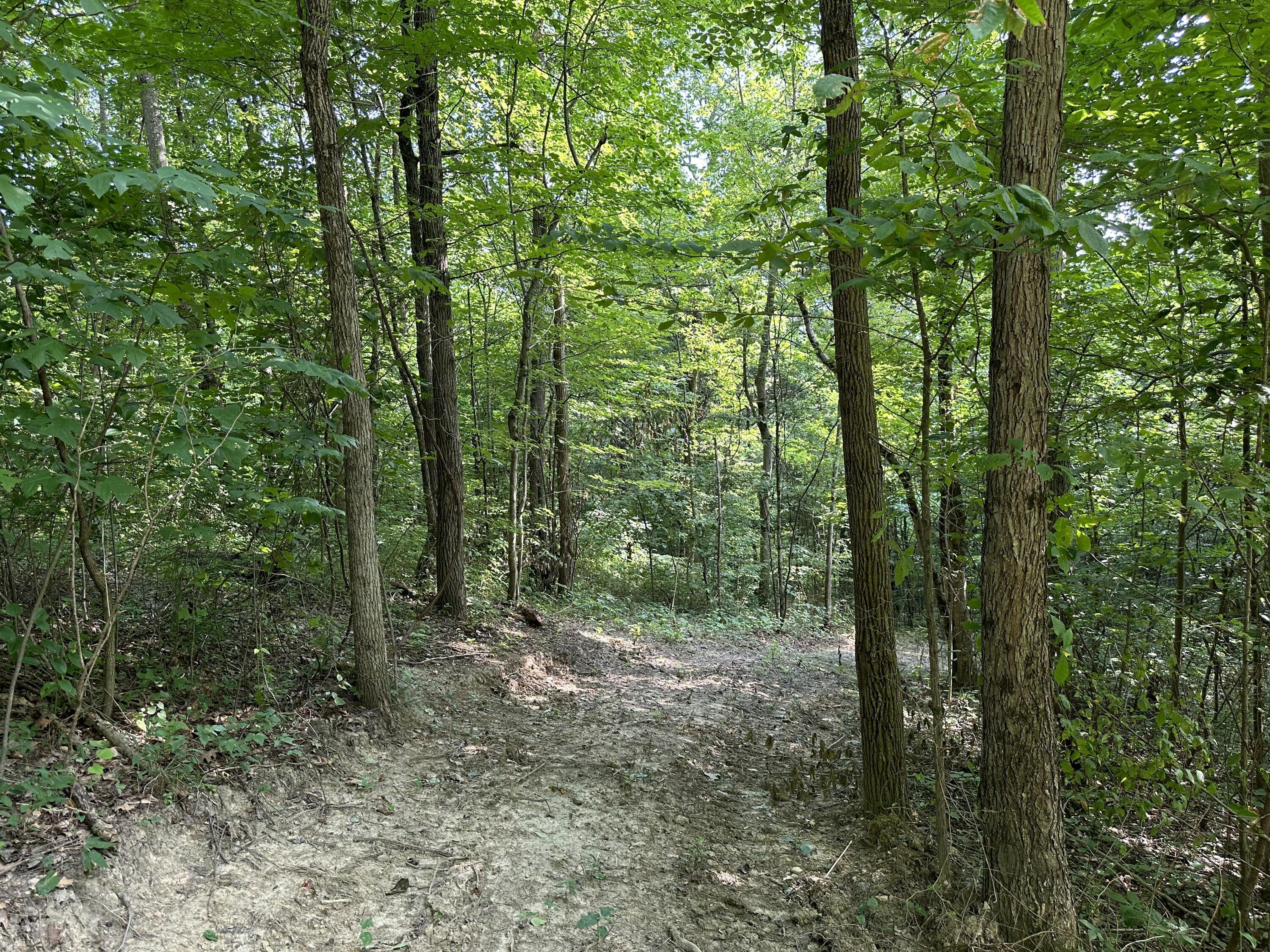 6690 Old State Road, (Perry Ridge - Tract 6)